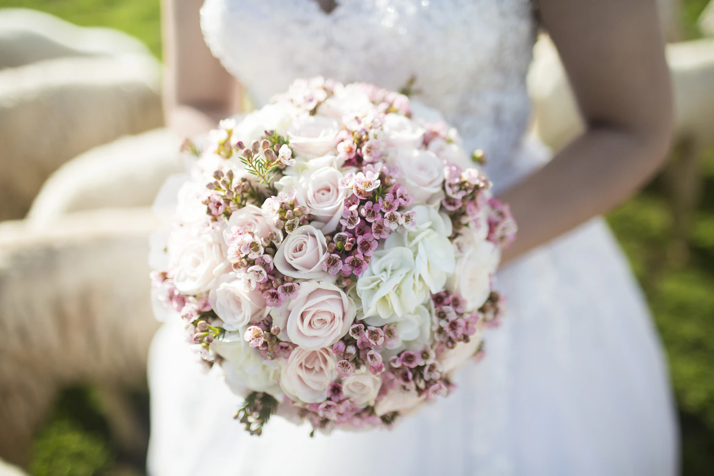 Bride holding a white and pink bridal bouquet with hands relaxed and natural against a soft grey background