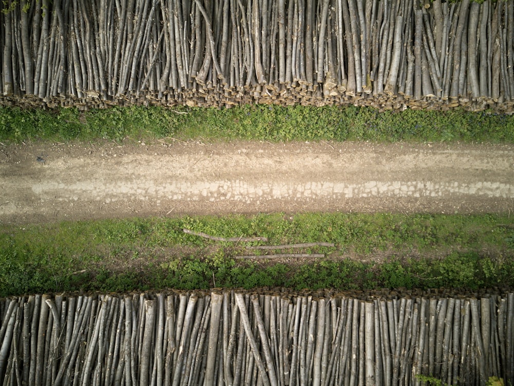 aerial photography road between tree logs