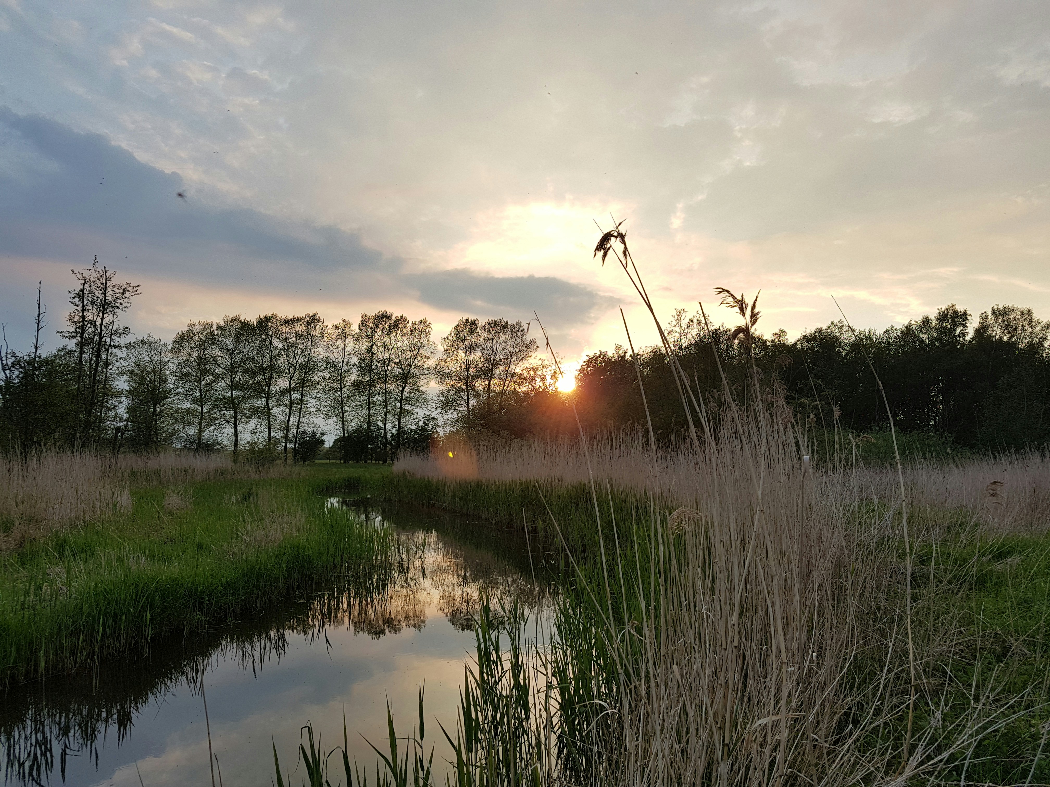 Free Unsplash photo from Asgeir Pall Juliusson