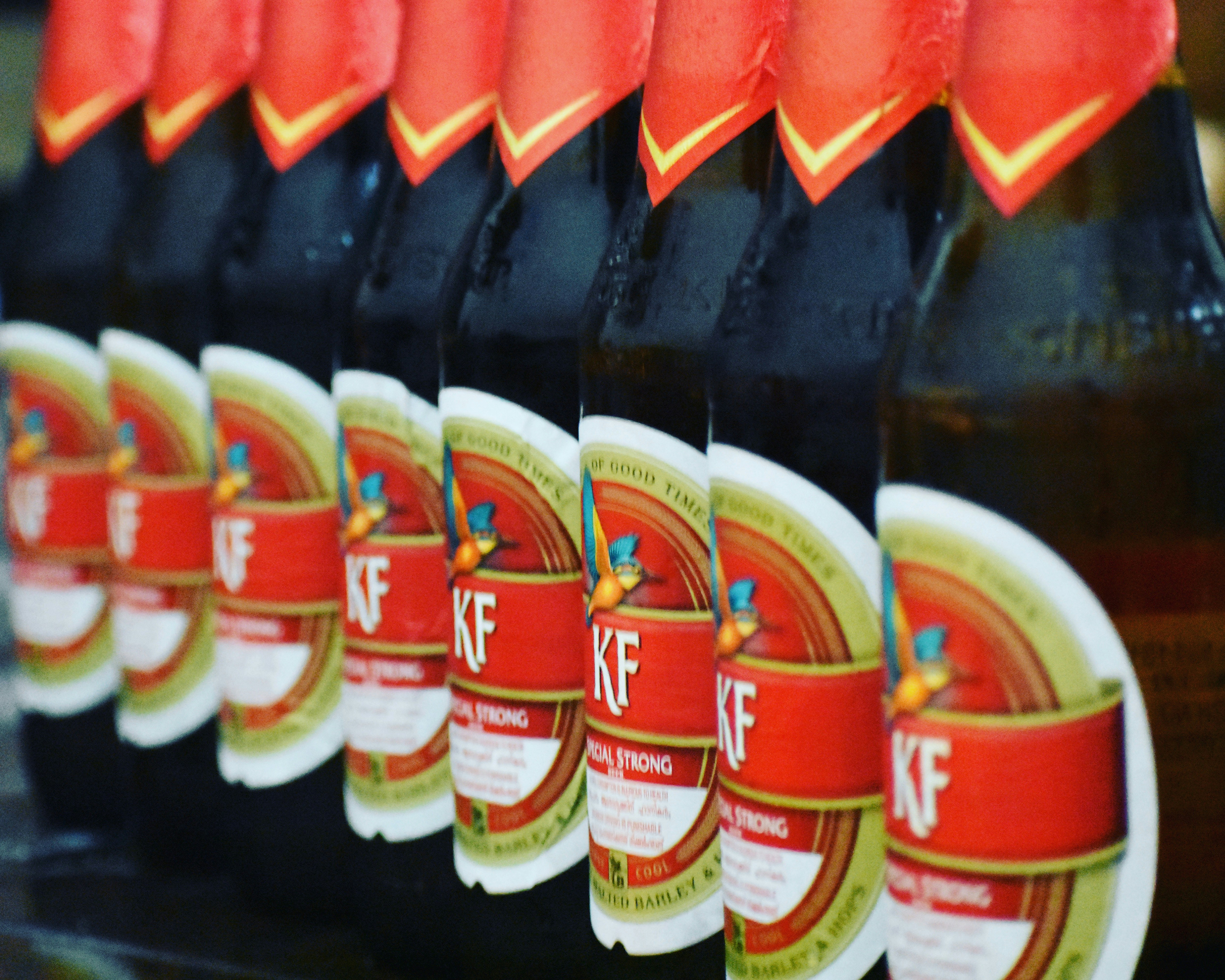 Free Unsplash photo from Akhil L