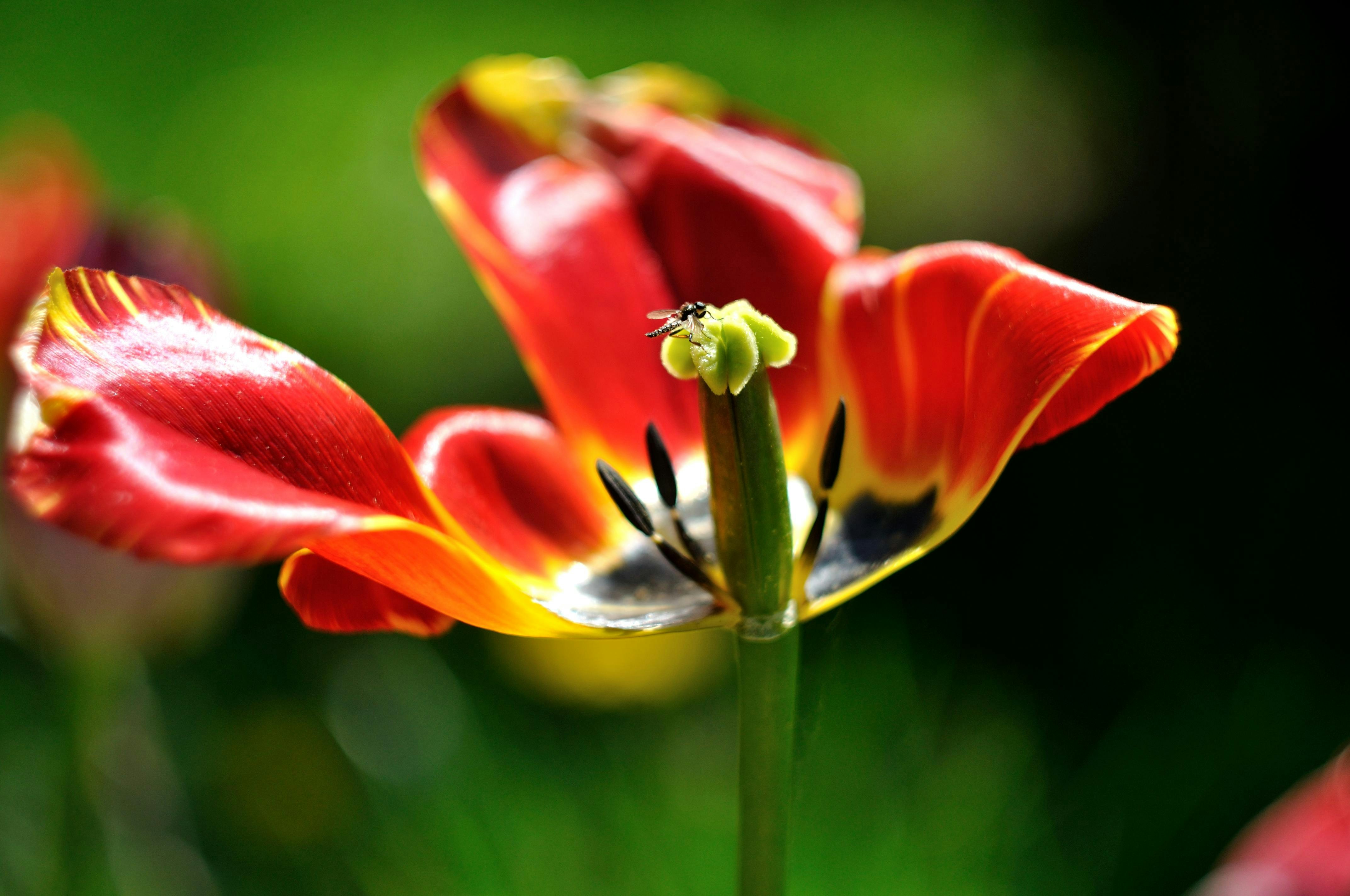 Free Unsplash photo from Monika Izdebska