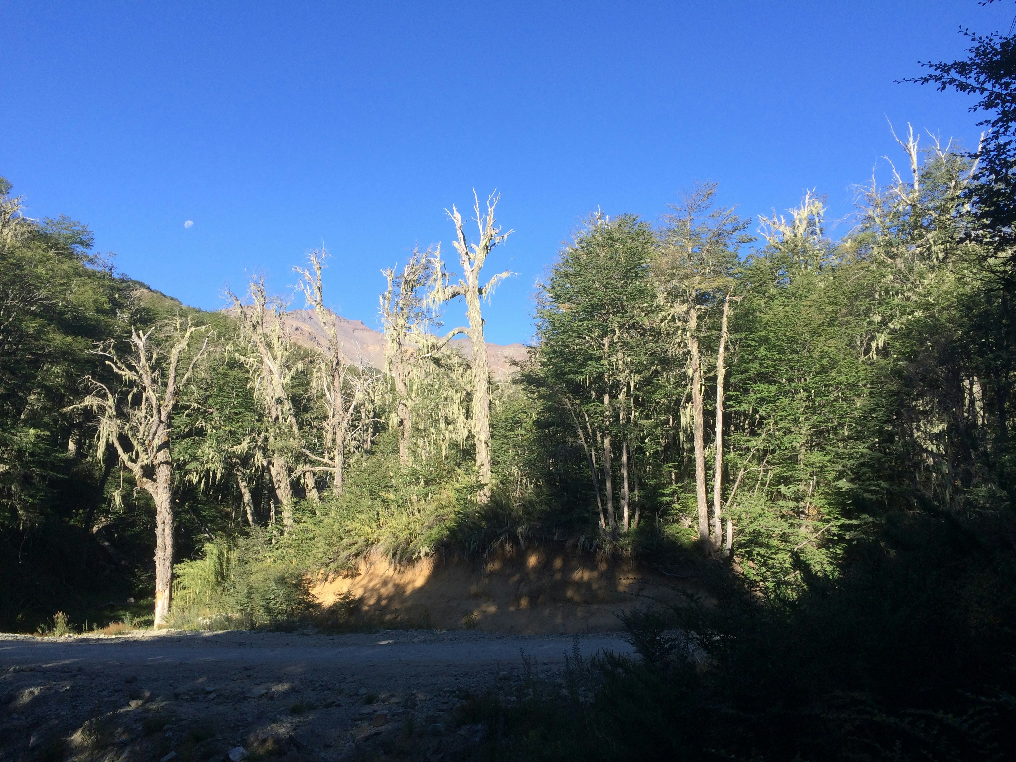 Free Unsplash photo from mauro  mora