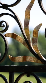 Ornate wrought iron gate with swirling and twisted metallic elements, featuring textured golden highlights against a blurred green background, suggesting an outdoor setting.