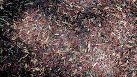 A textured surface covered with a layer of bark mulch consisting of shredded wood. The colors are primarily a mix of reddish-brown, tan, and dark brown hues, with varied shapes and sizes of wood chips.