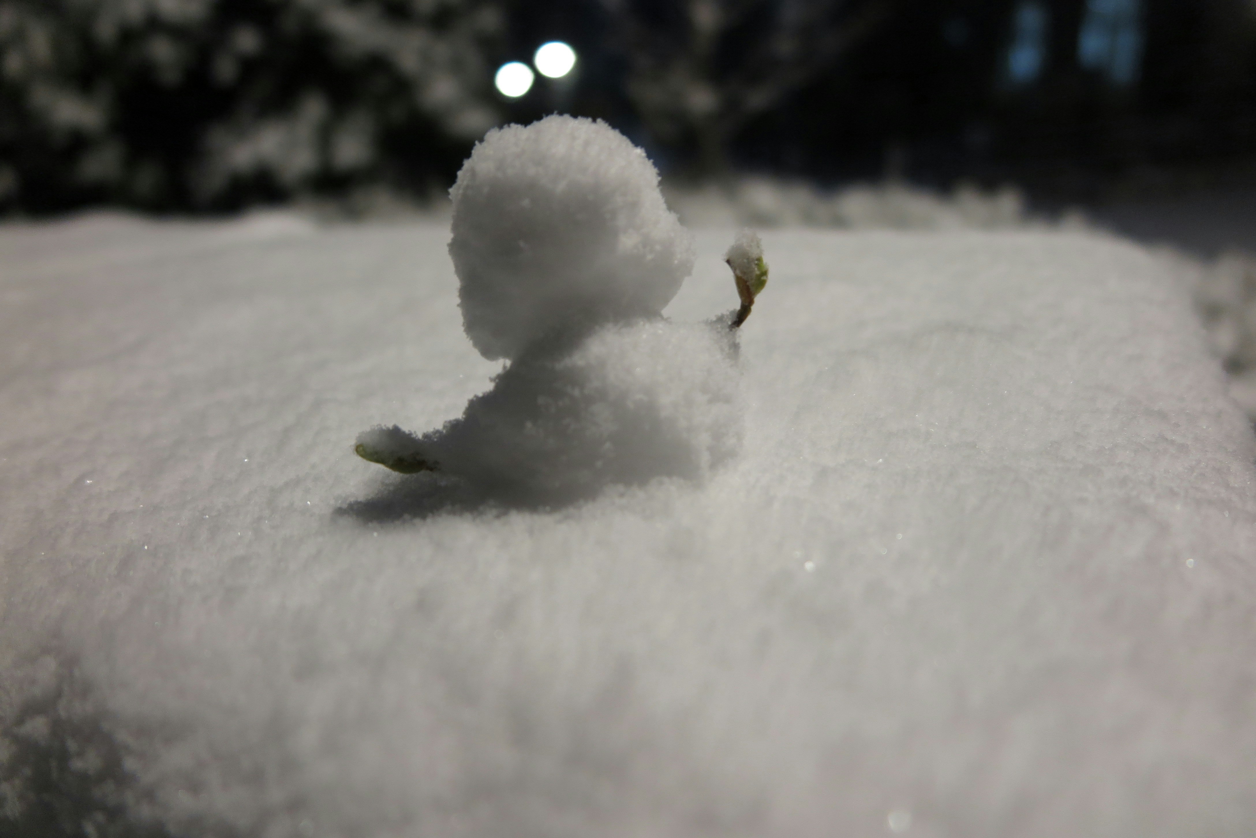 Free Unsplash photo from Daichi Dojima