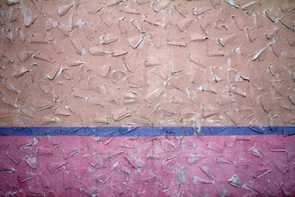 The image features a textured wall with abstract patterns. The upper portion of the wall is painted in a beige color, while the lower portion is pink, separated by a thin blue line. The surface has rough, uneven protrusions giving it a rustic, unfinished look.