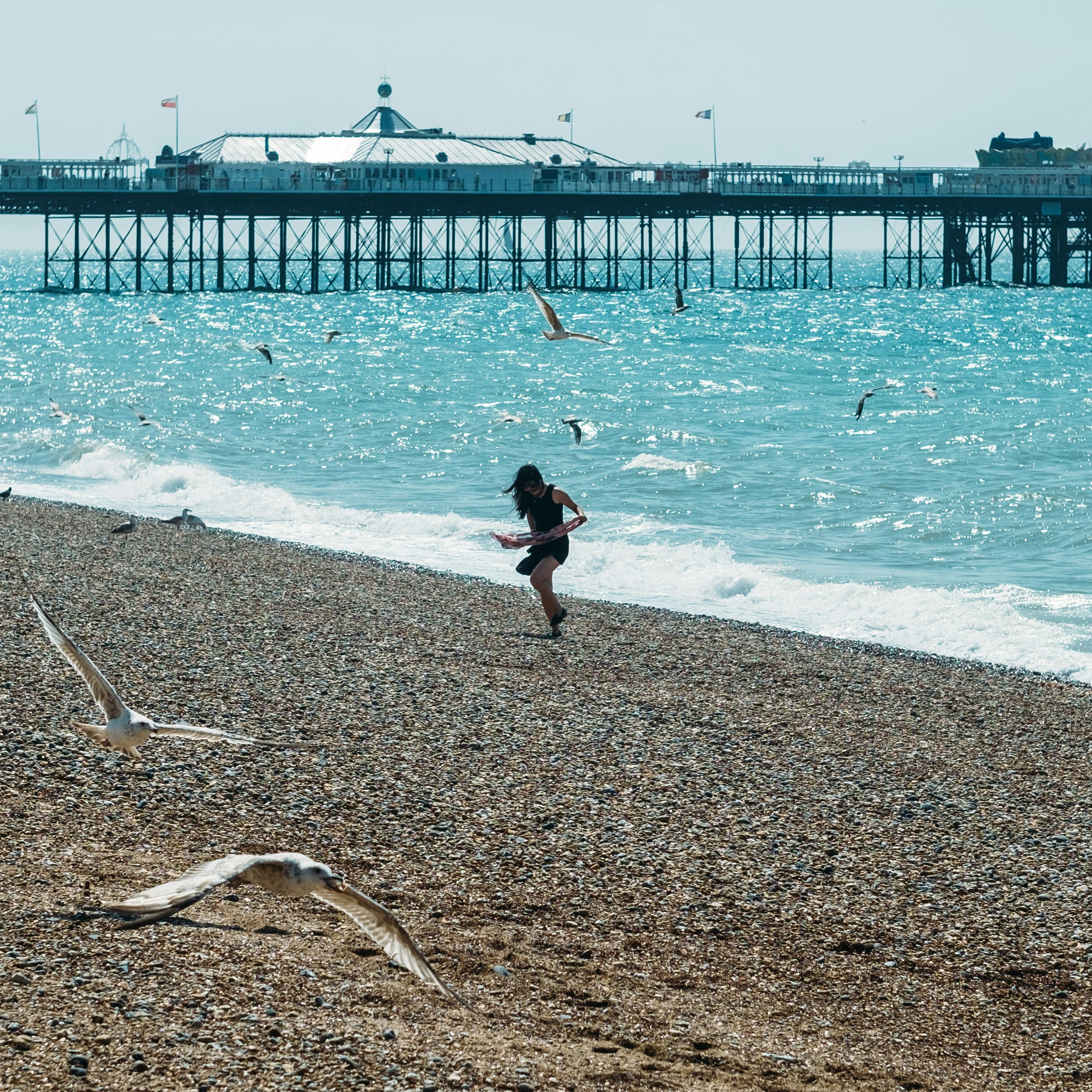 Free Unsplash photo from Arif Wahid