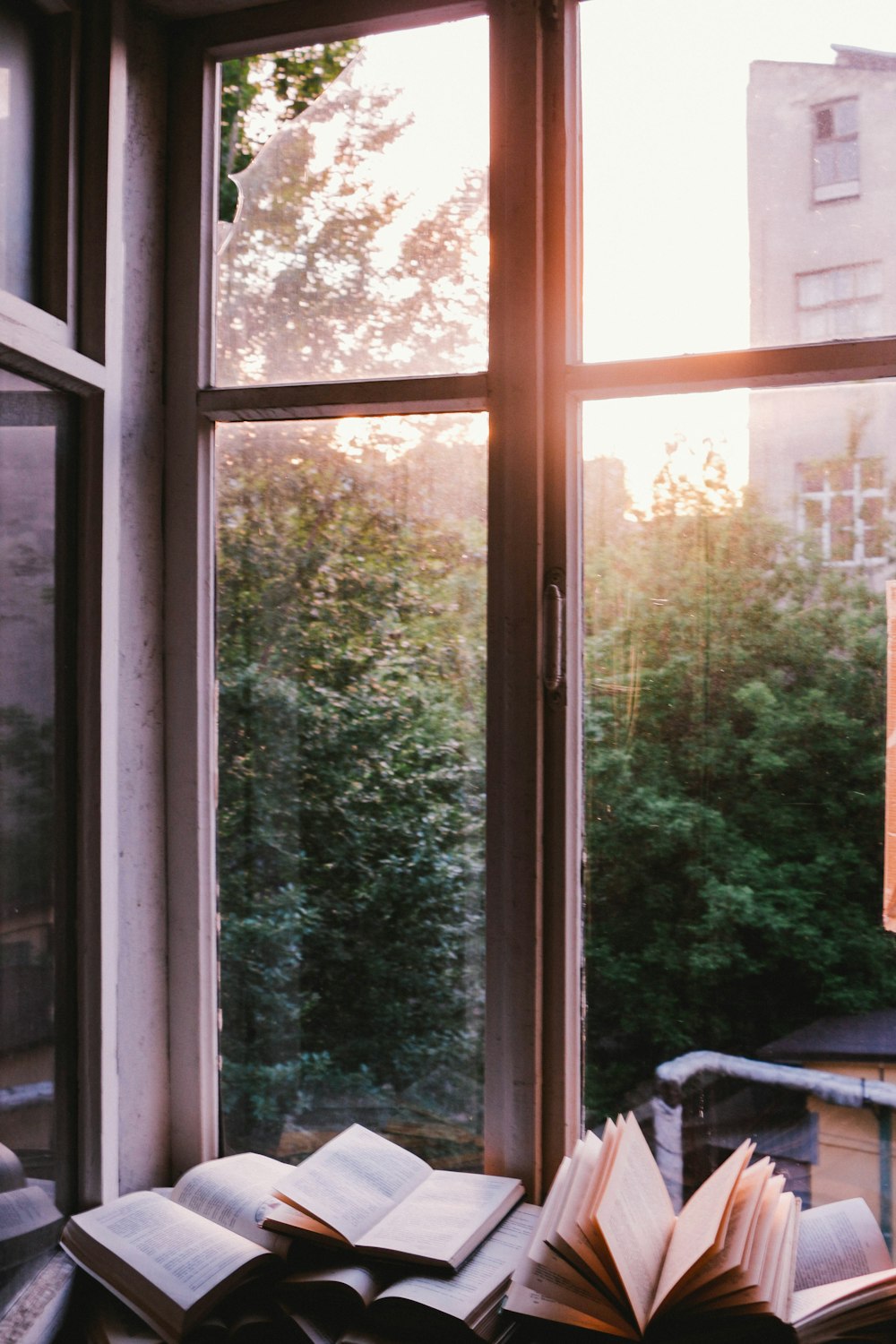 livres à côté de la fenêtre pendant le coucher du soleil