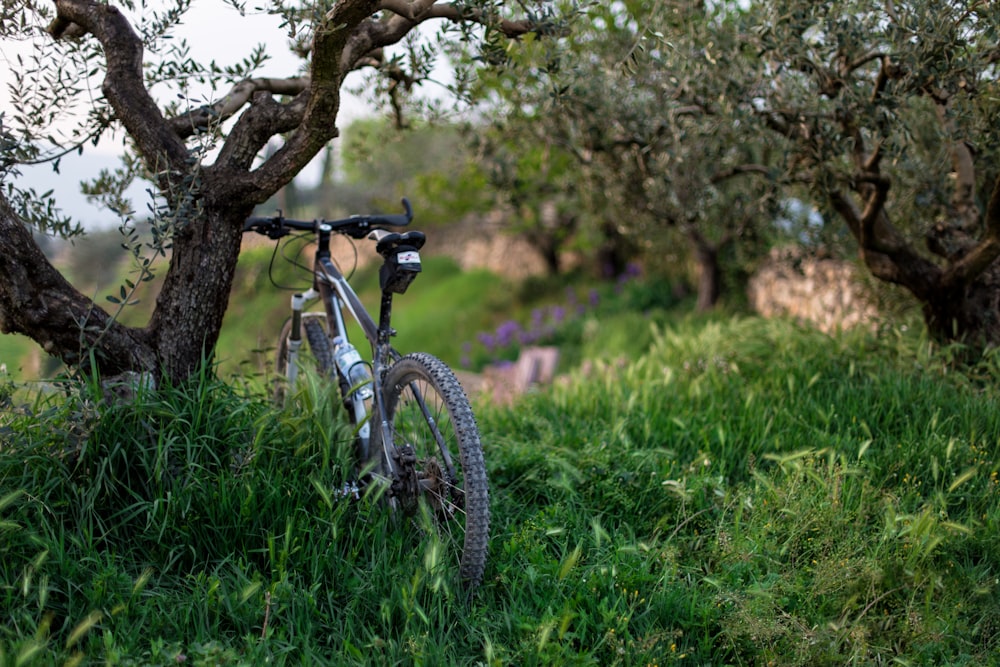 Bicicleta de montaña rígida negra estacionada frente a un árbol