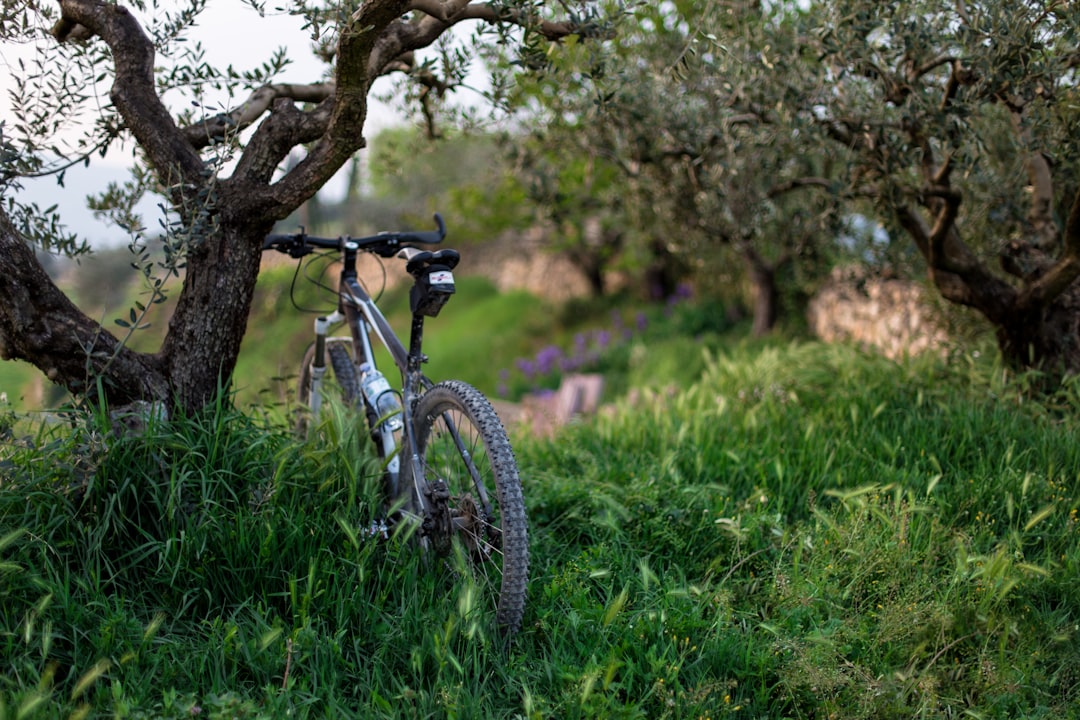 Cycling photo spot San Pietro in Cariano Italy