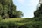A lush, green meadow surrounded by dense trees on both sides stretches into the distance under a clear blue sky. The trees are tall with thick foliage, providing a serene and natural setting. The vibrant greenery reflects a healthy ecosystem, creating a peaceful and inviting atmosphere.
