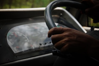 Close-up of hands on a steering wheel with a cityscape background.
