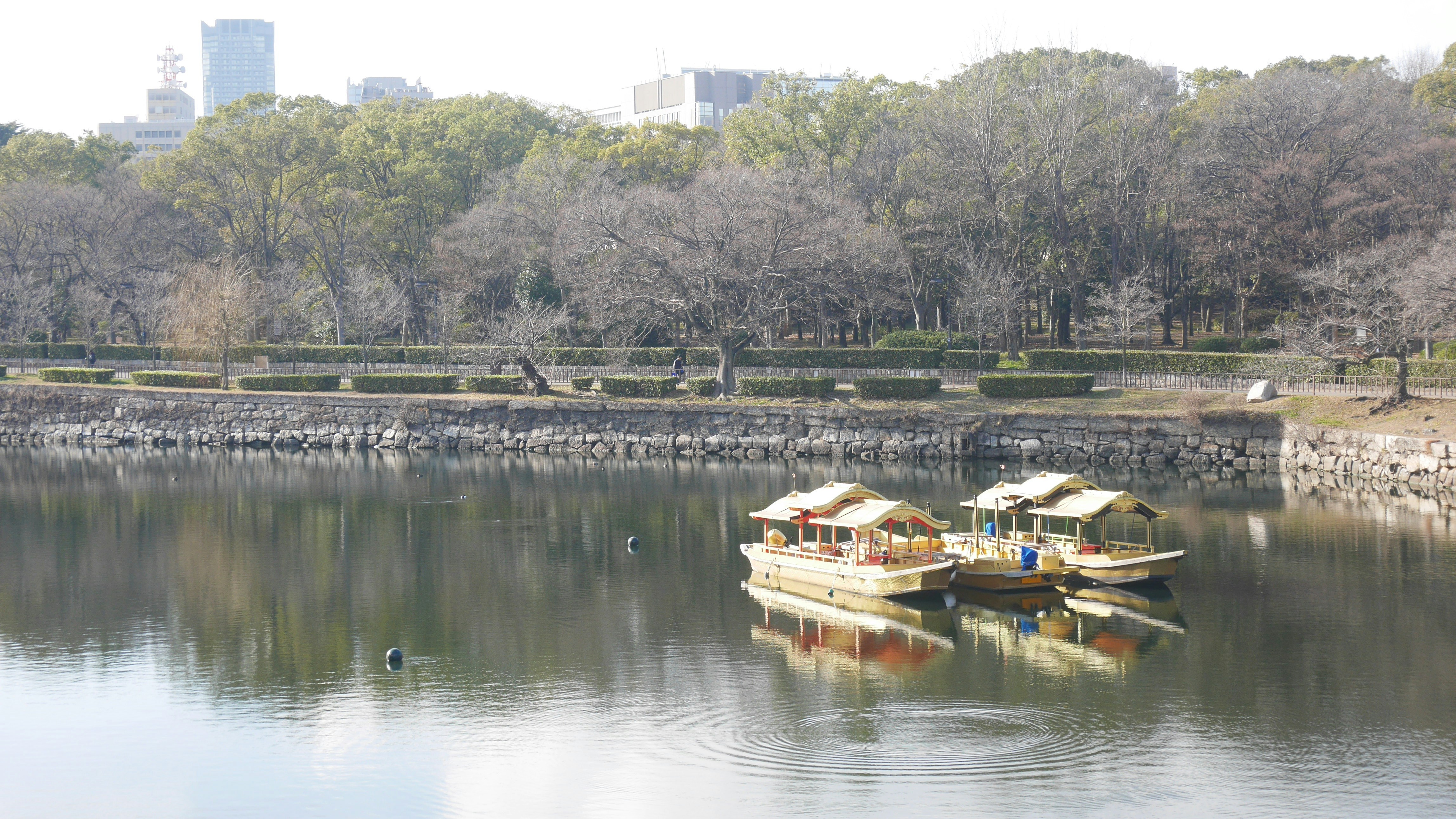 Ornate wooden boat gliding on a calm moonlit lake with a palace illuminated in the background, warm golden reflections