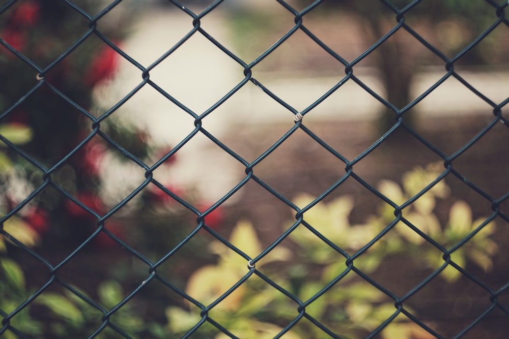 black steel cyclone fence during daytime