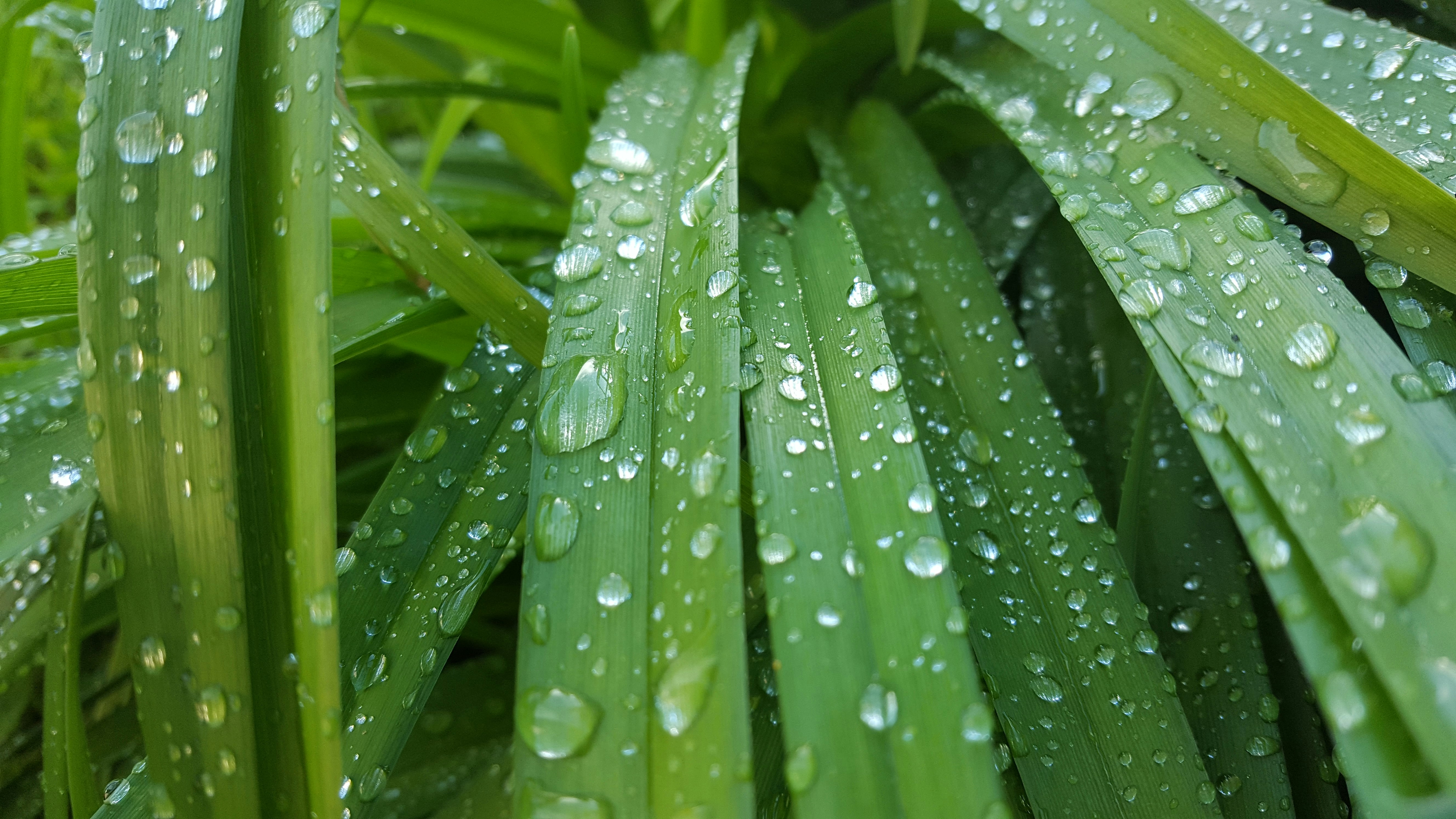 Free Unsplash photo from Martin Oslic