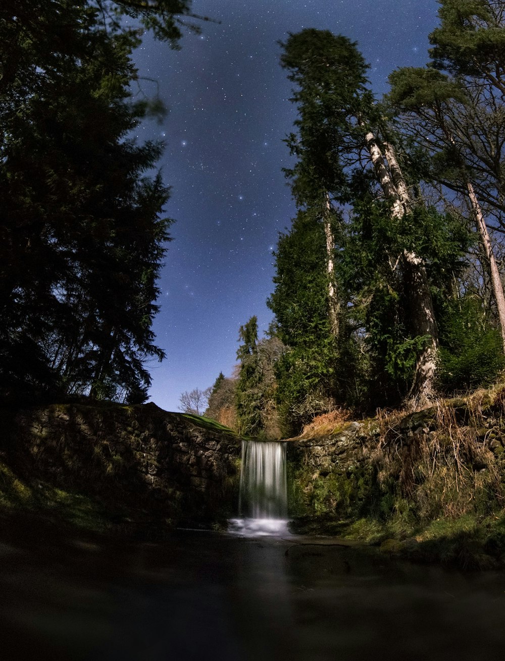 waterfall in the middle of the forest