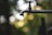 A close-up view of a solitary water faucet against a background of blurred green foliage. A single droplet of water hangs from the end of the faucet, adding a sense of stillness and anticipation.