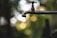 A close-up view of a solitary water faucet against a background of blurred green foliage. A single droplet of water hangs from the end of the faucet, adding a sense of stillness and anticipation.