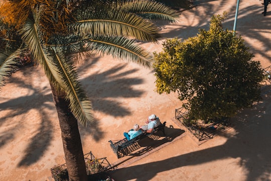 two person sitting on metal bench on a summer day in Córdoba Spain