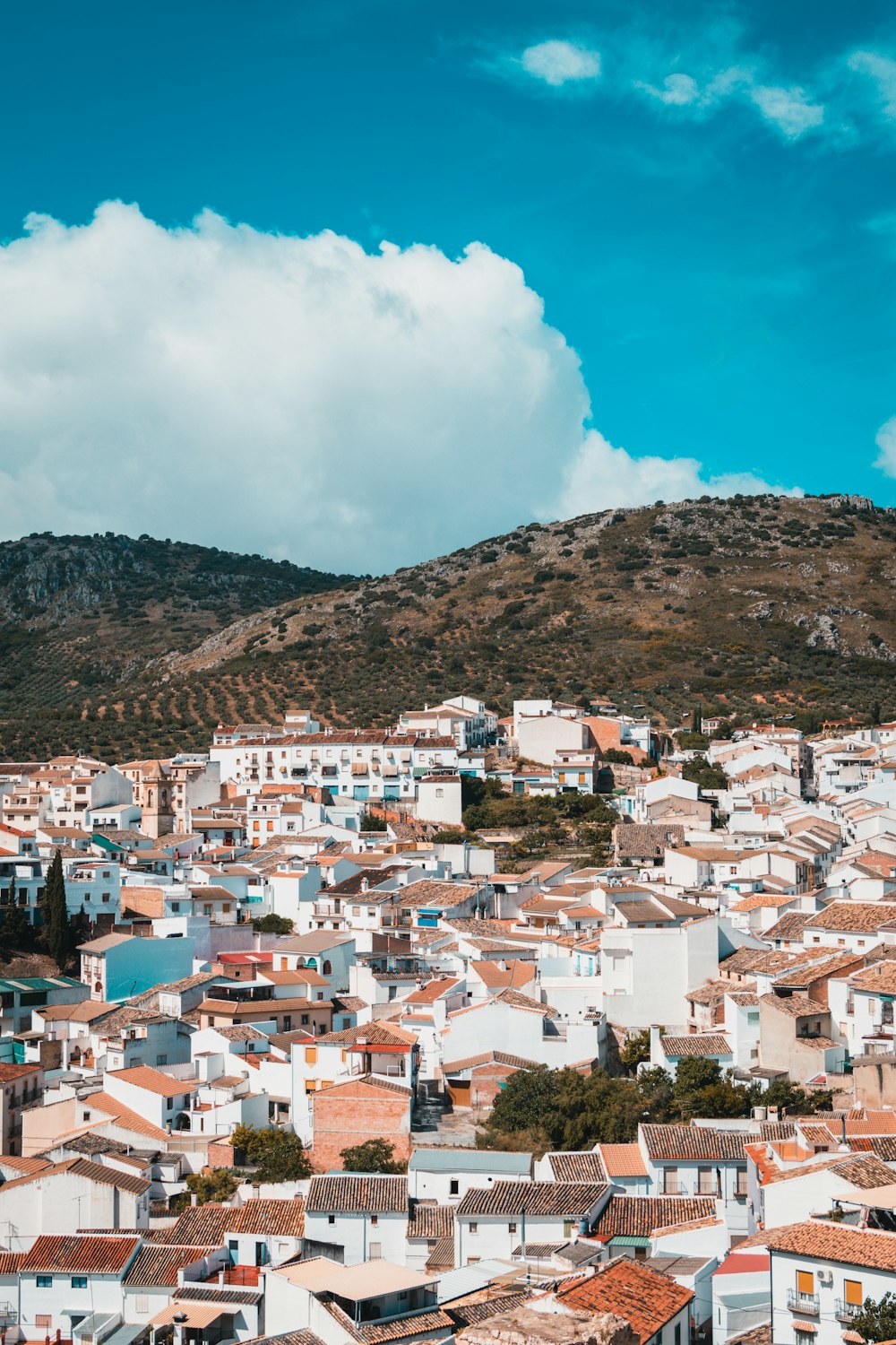 Vista aérea de las casas junto a la montaña