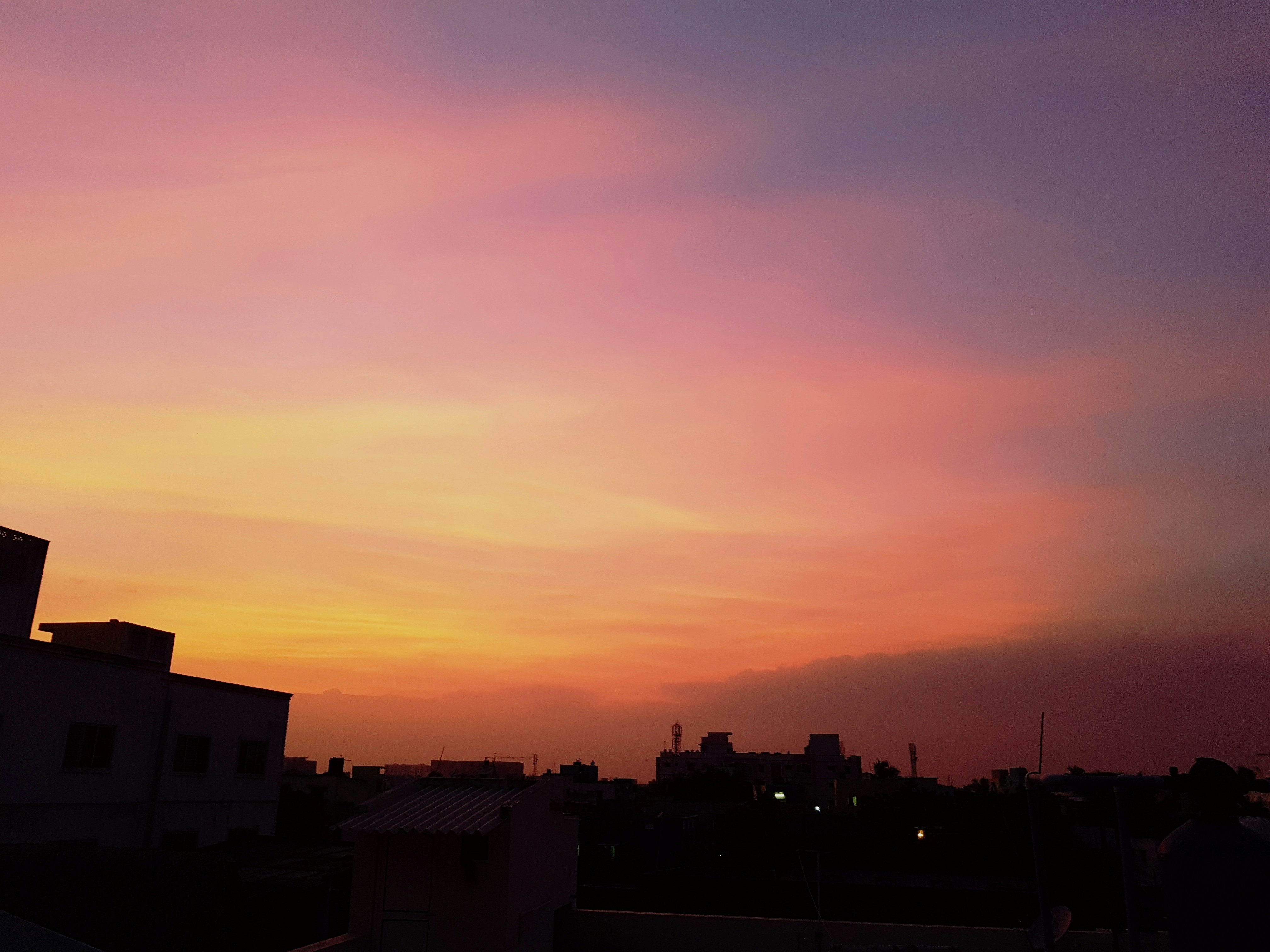 Free Unsplash photo from Prashant Sharma