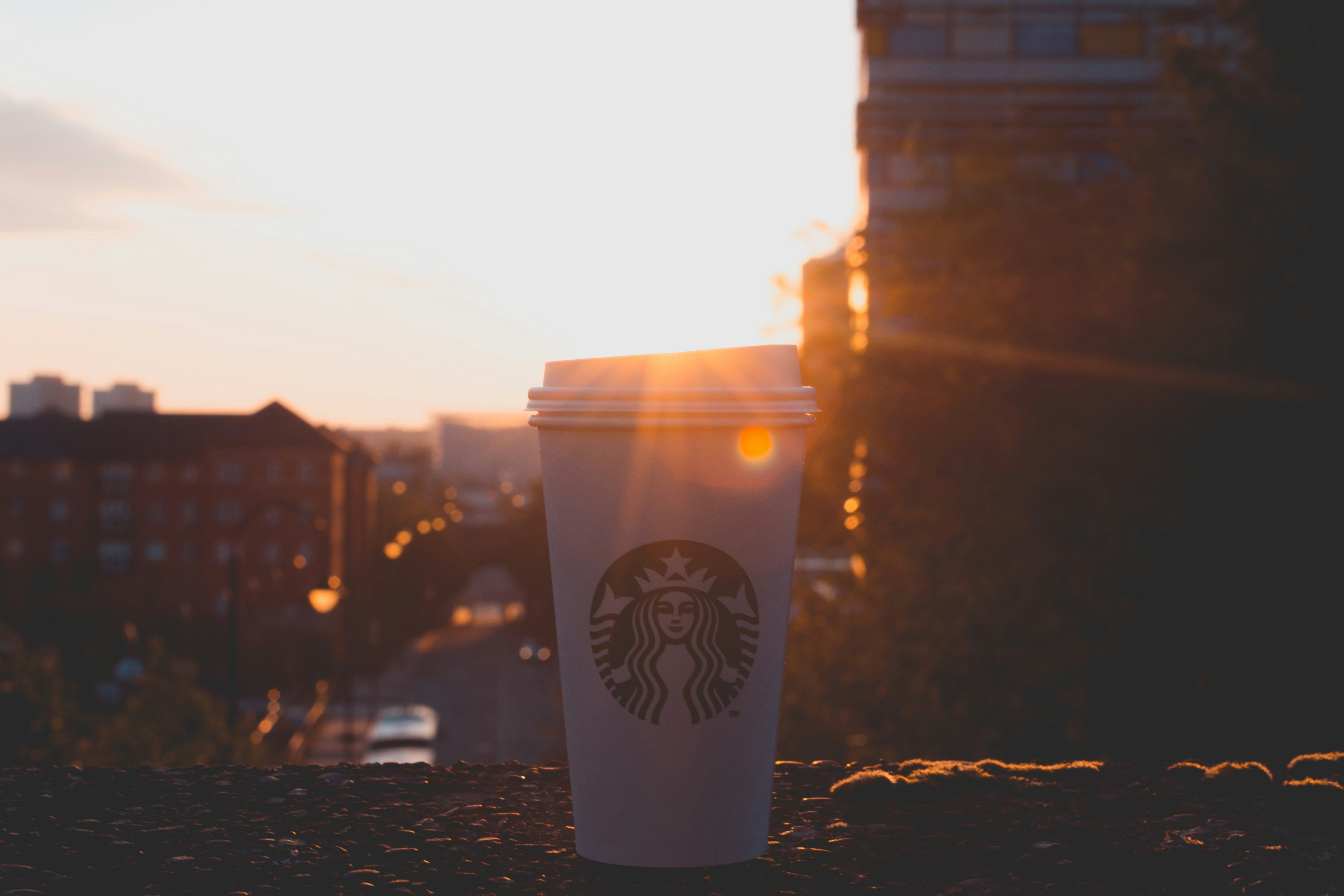 Free Unsplash photo from Leon Ell'