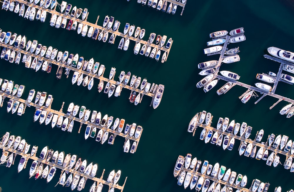 bird's eyeview of sea port