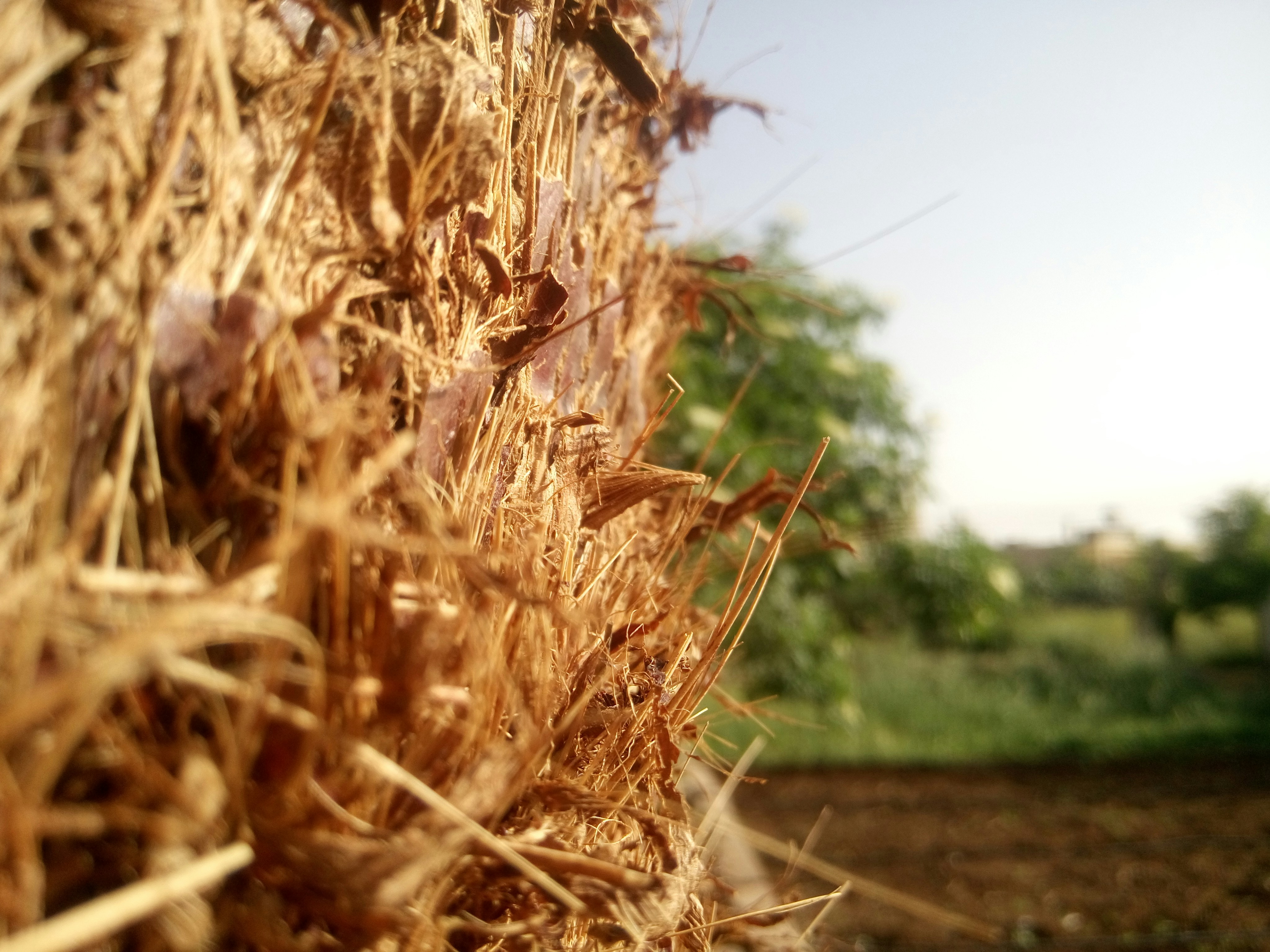 Free Unsplash photo from Ammar Hunaidi