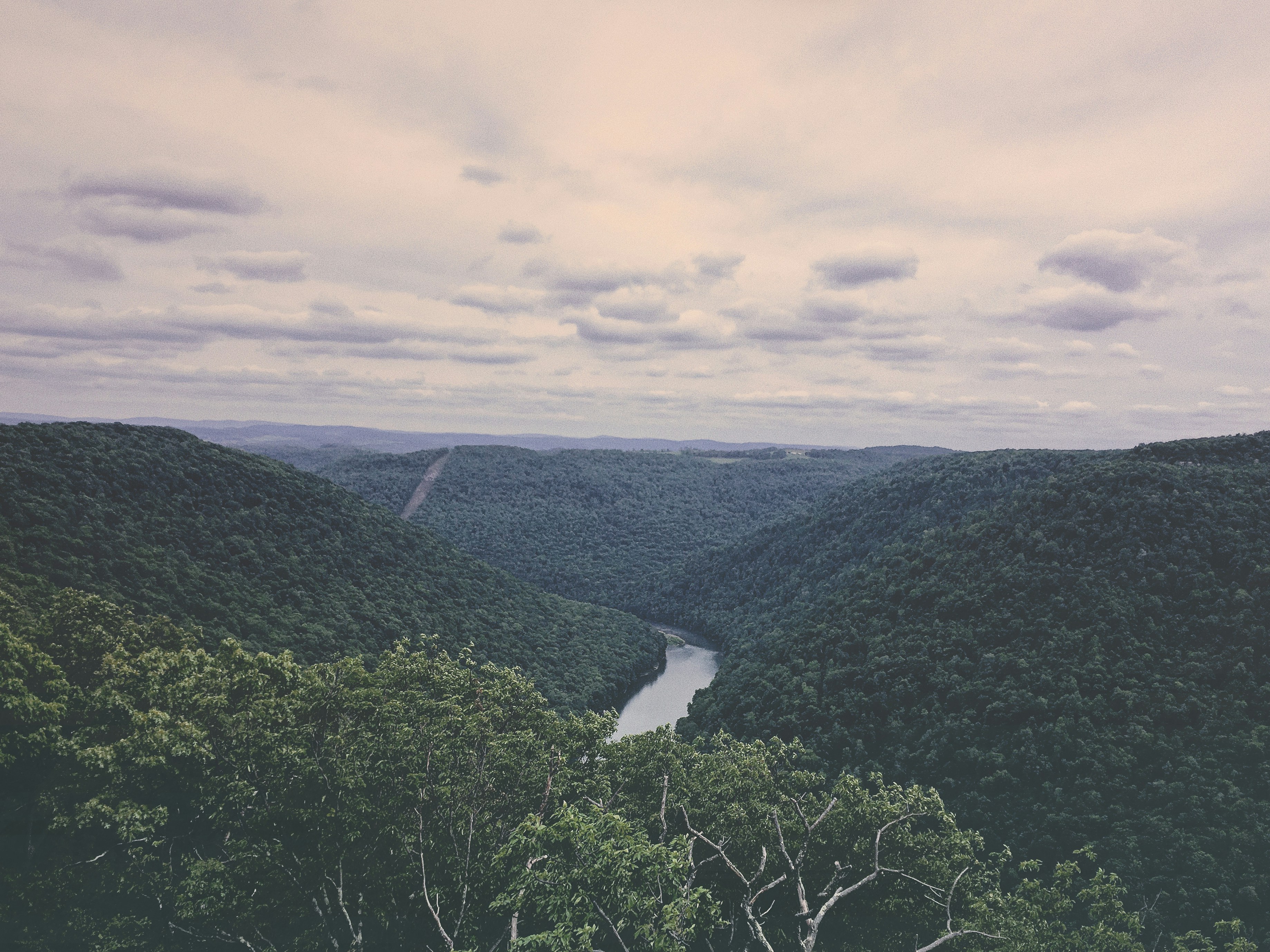 Cheat River from Coopers Rock State Park!