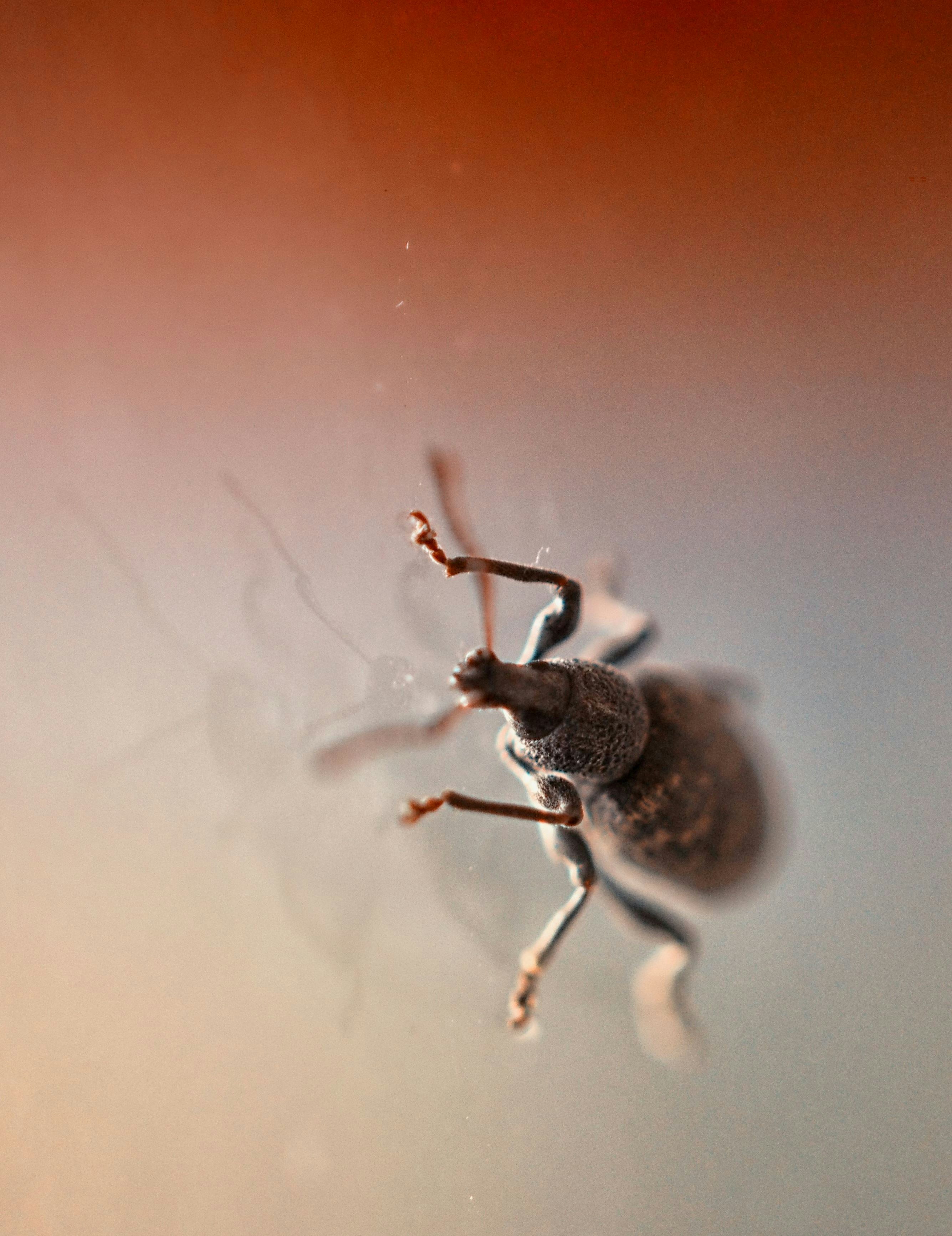 Free Unsplash photo from Arjan de Jong