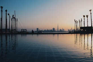 A sleek graph overlay on a Florida waterfront skyline at sunset, symbolizing market growth.