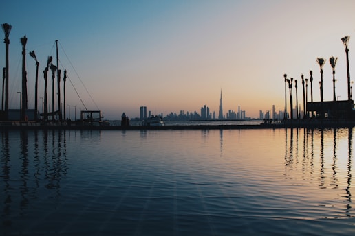 A sleek graph overlay on a Florida waterfront skyline at sunset, symbolizing market growth.