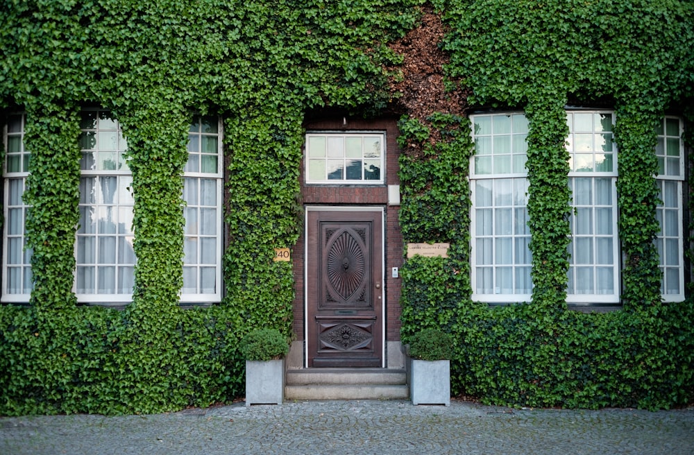 porte en bois marron