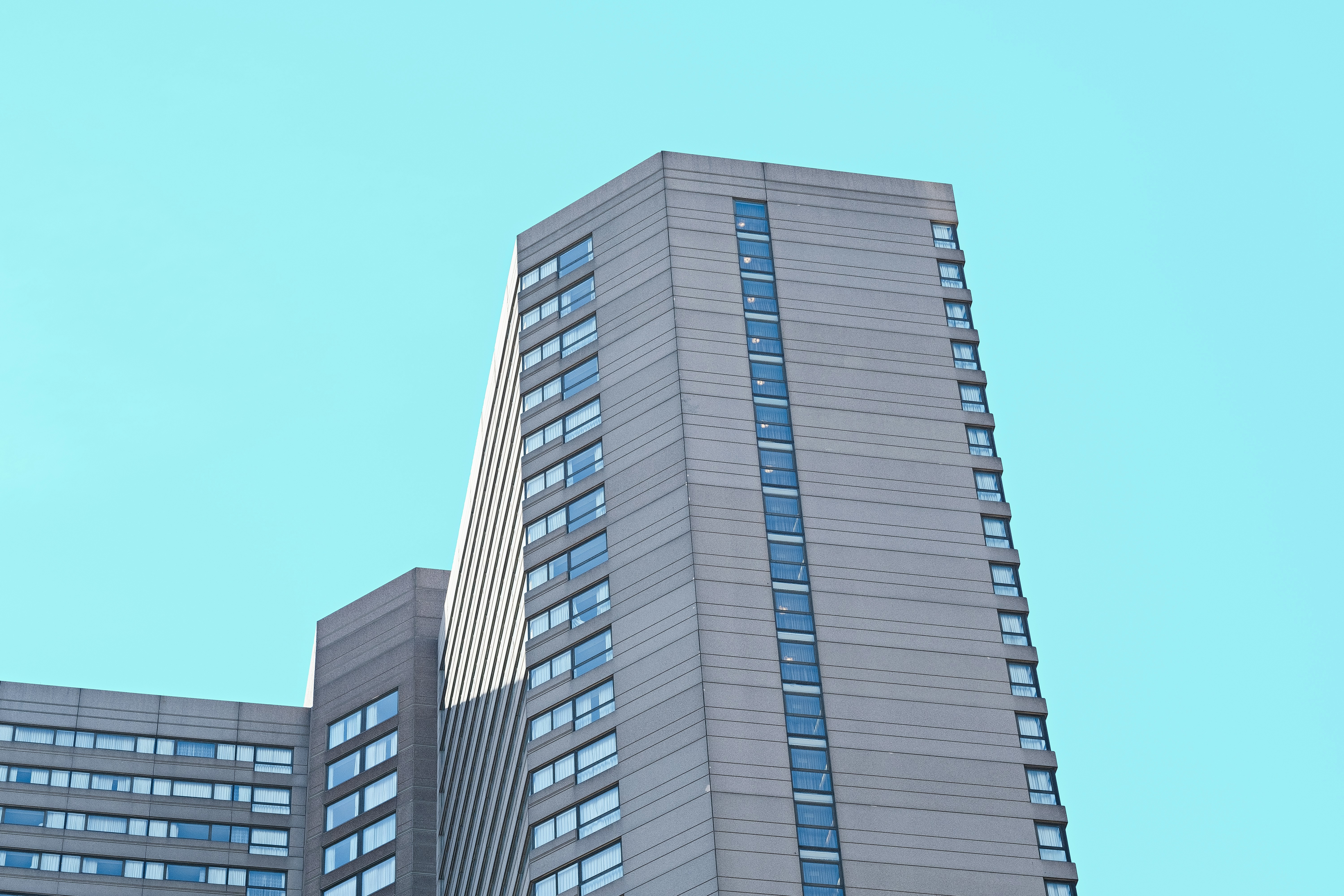 Free Unsplash photo from Lance Anderson