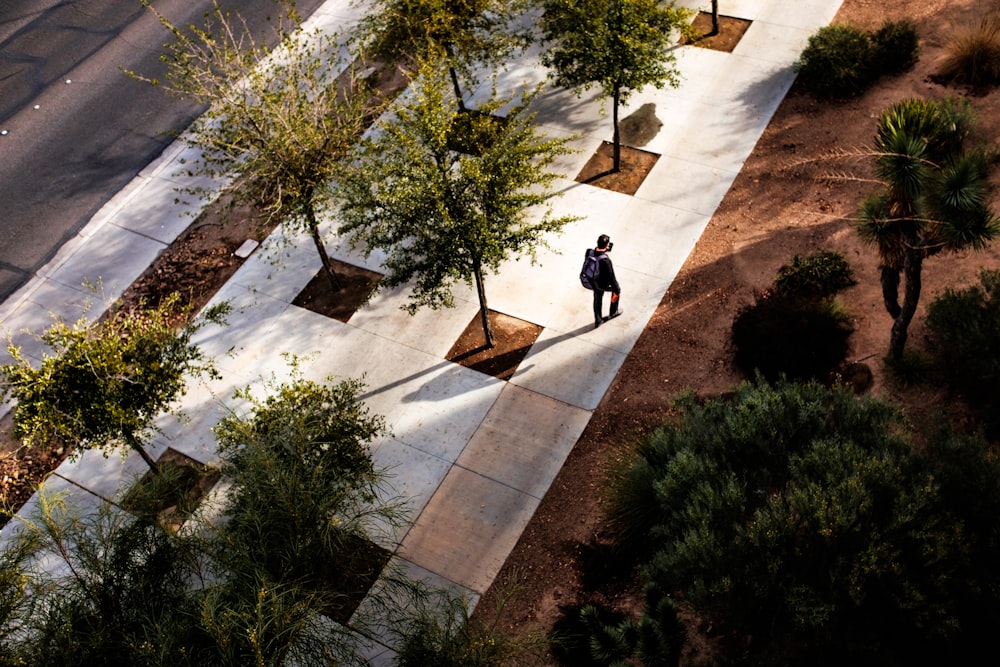 birds eye view of man walking surrounded by trees