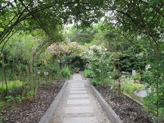 A beautifully designed garden pathway lined with blooming plants and decorative stones.
