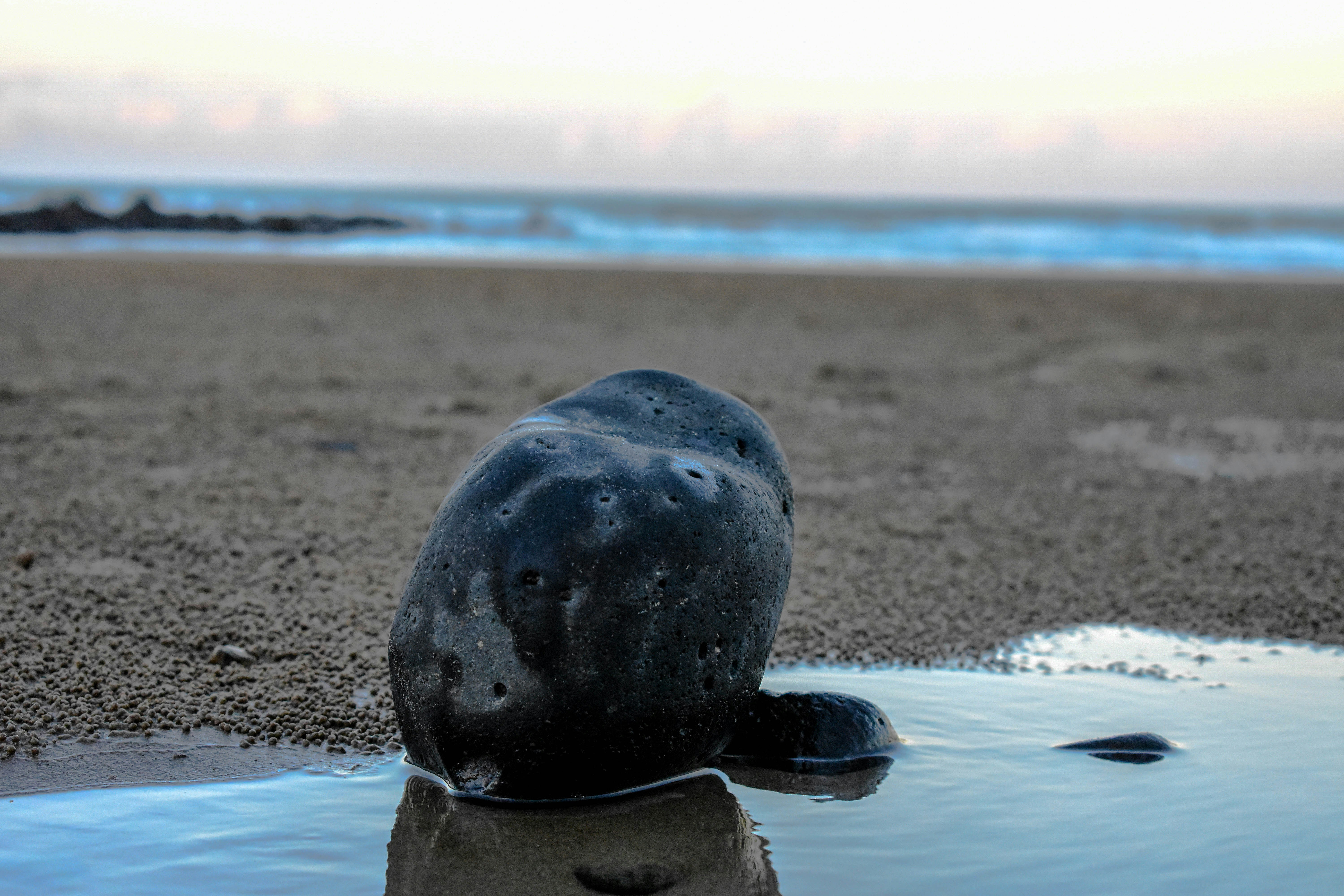 Free Unsplash photo from Cleo Grace