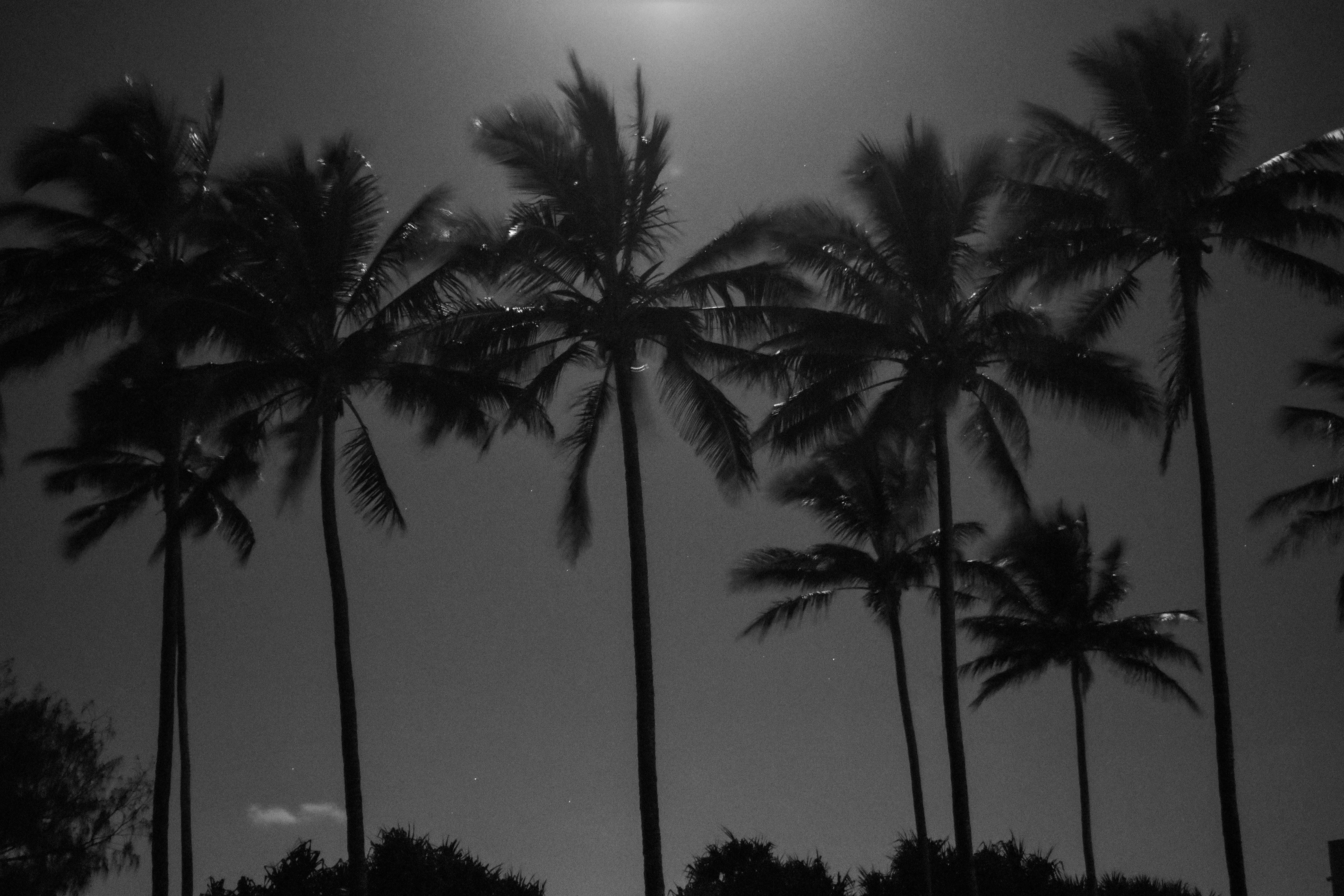 Free Unsplash photo from Cleo Grace