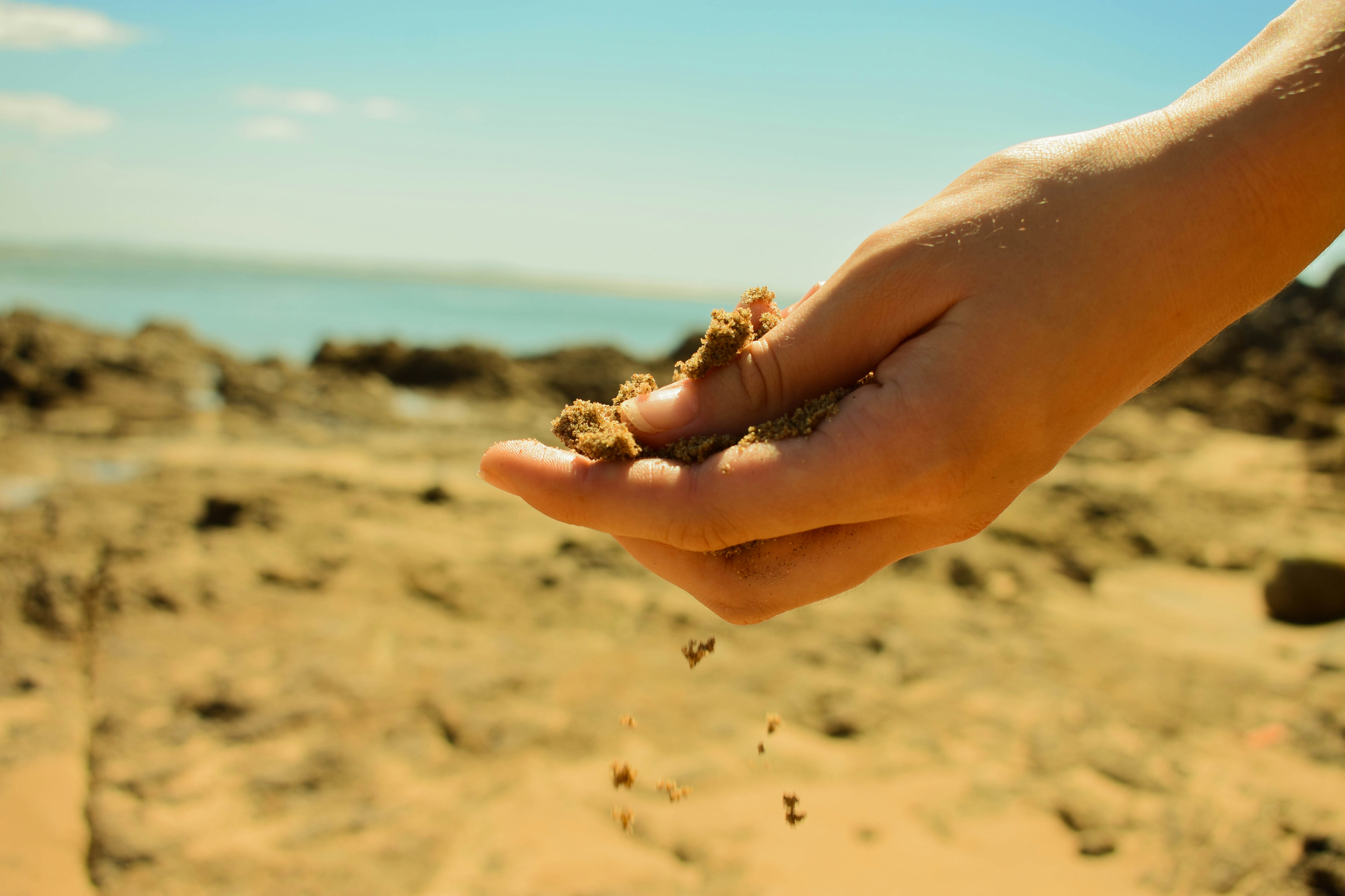 Free Unsplash photo from Cleo Grace