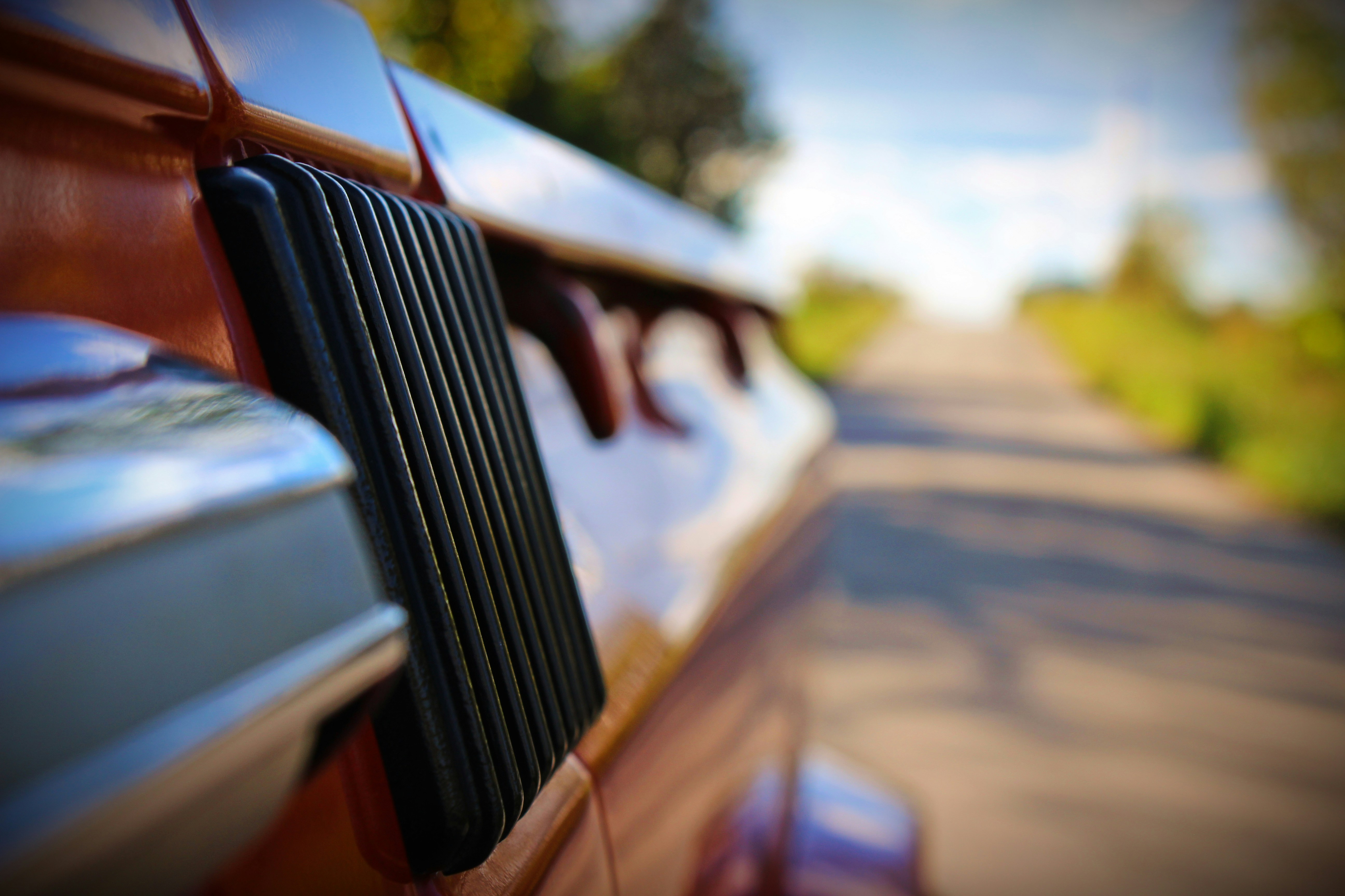 Free Unsplash photo from Ryke Beever