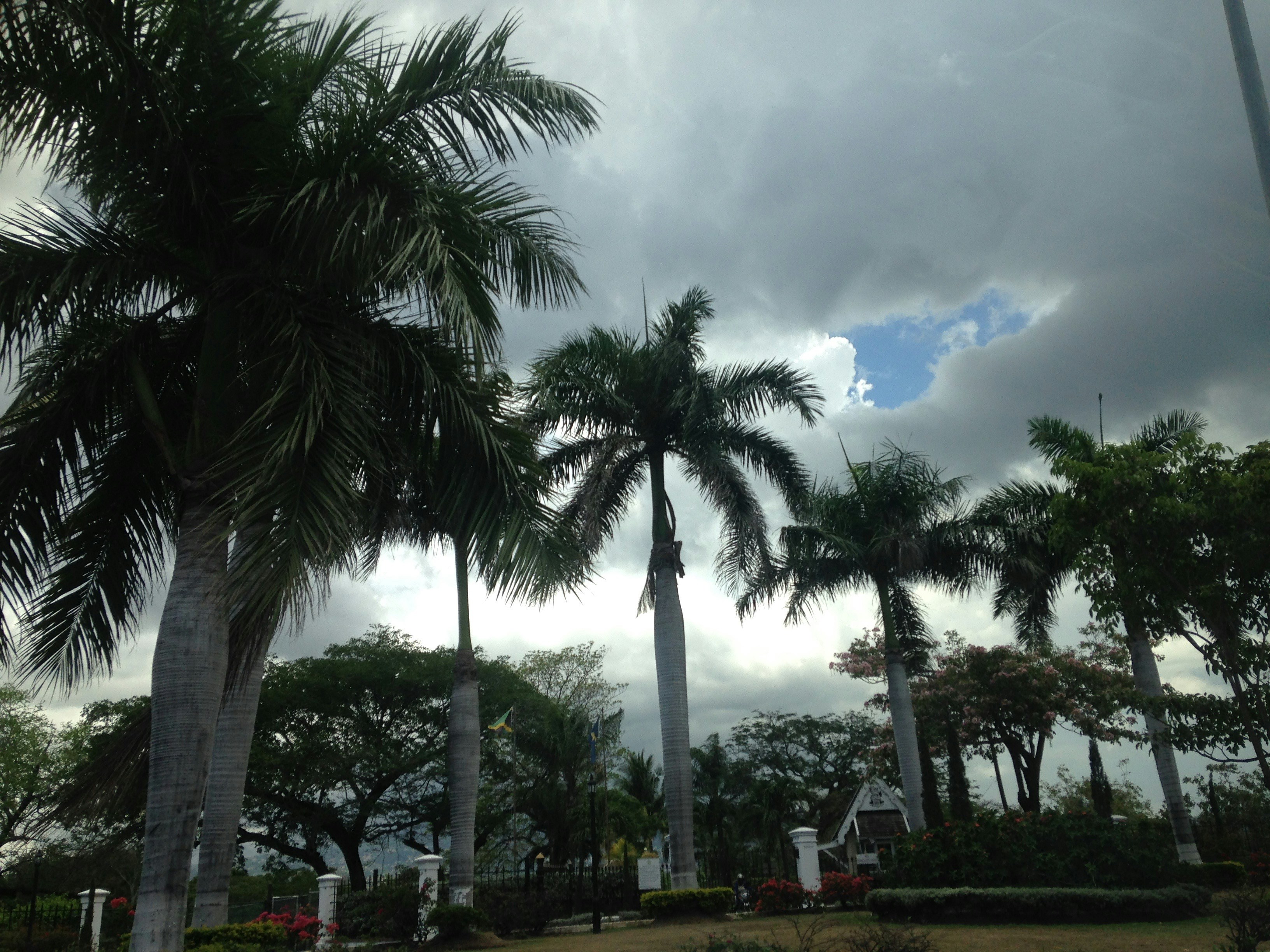 Free Unsplash photo from Melissa Bessey