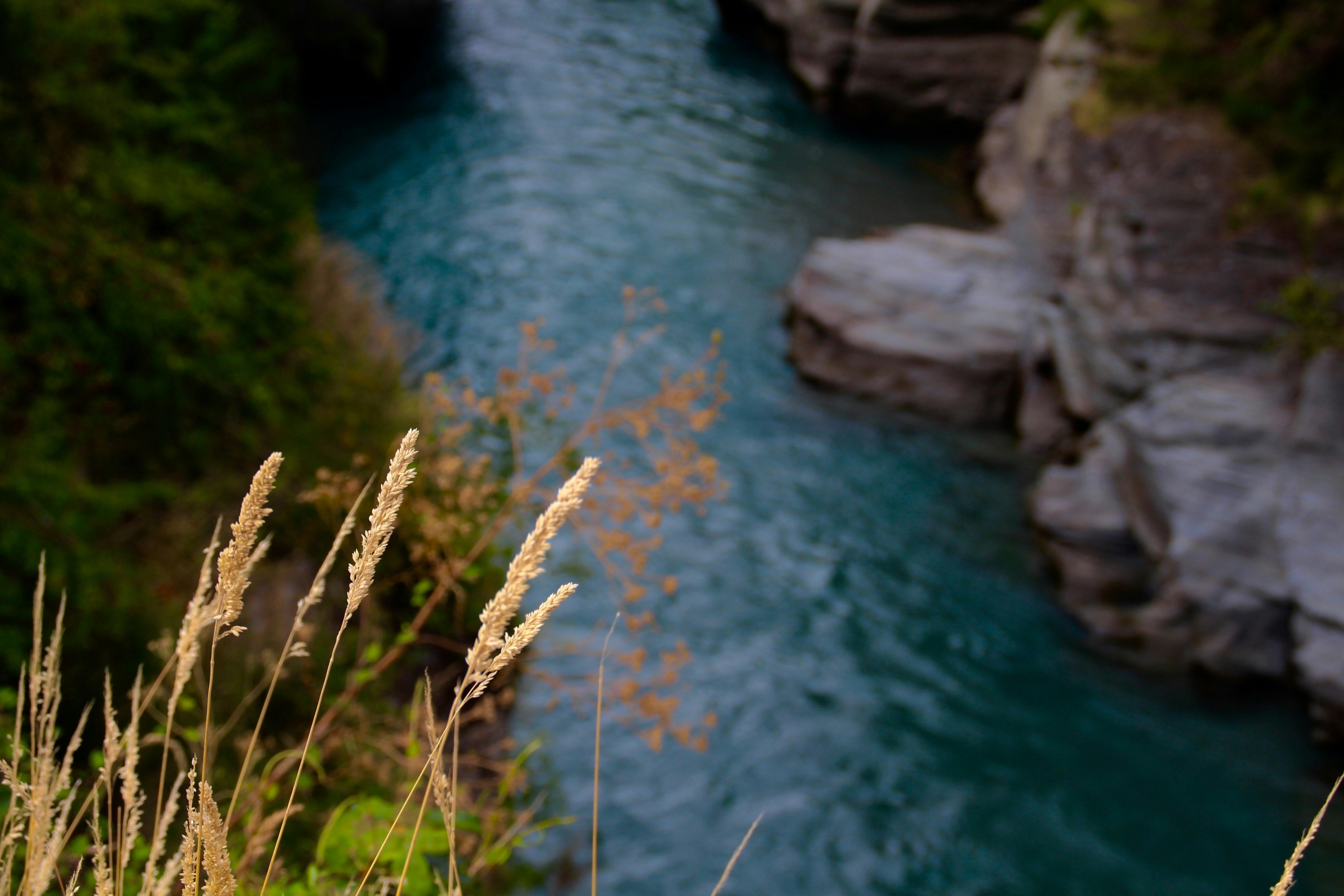 Free Unsplash photo from Cooper Hendry