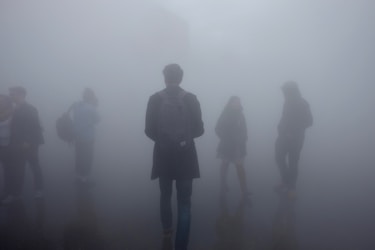 Creating the Ultimate Website for Foggy Mind Reboot