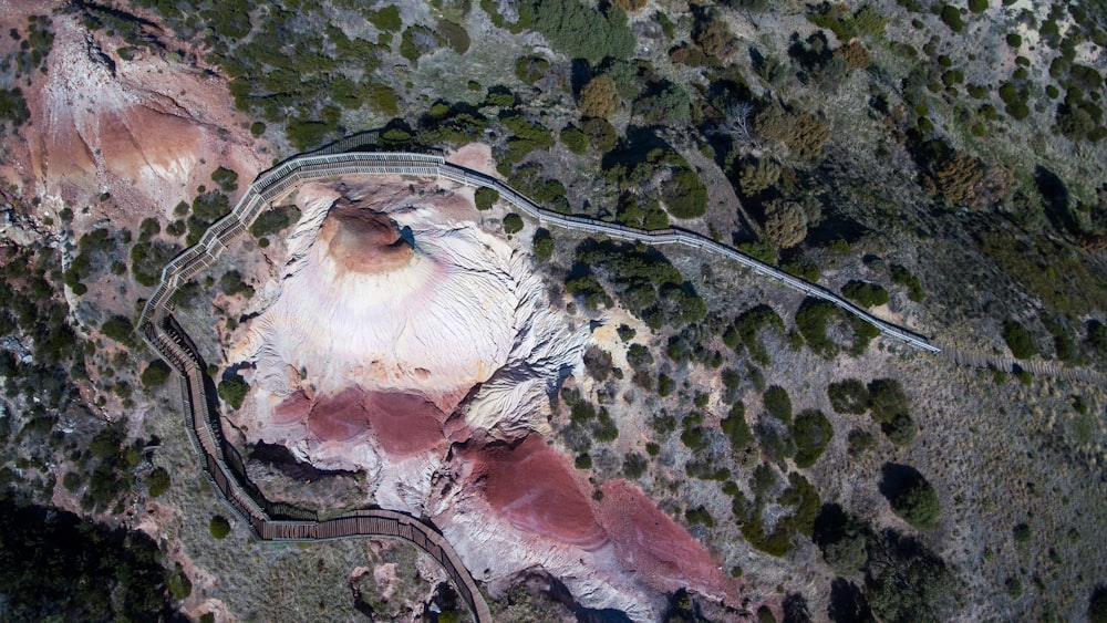 Luftbild des Waldes