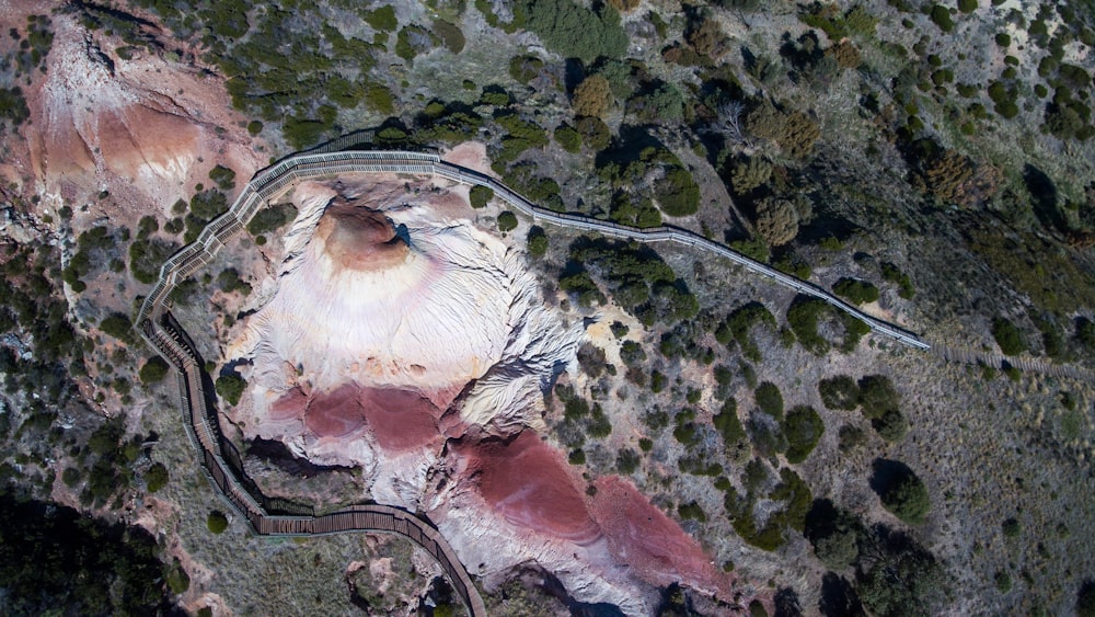 aerial photo of forest