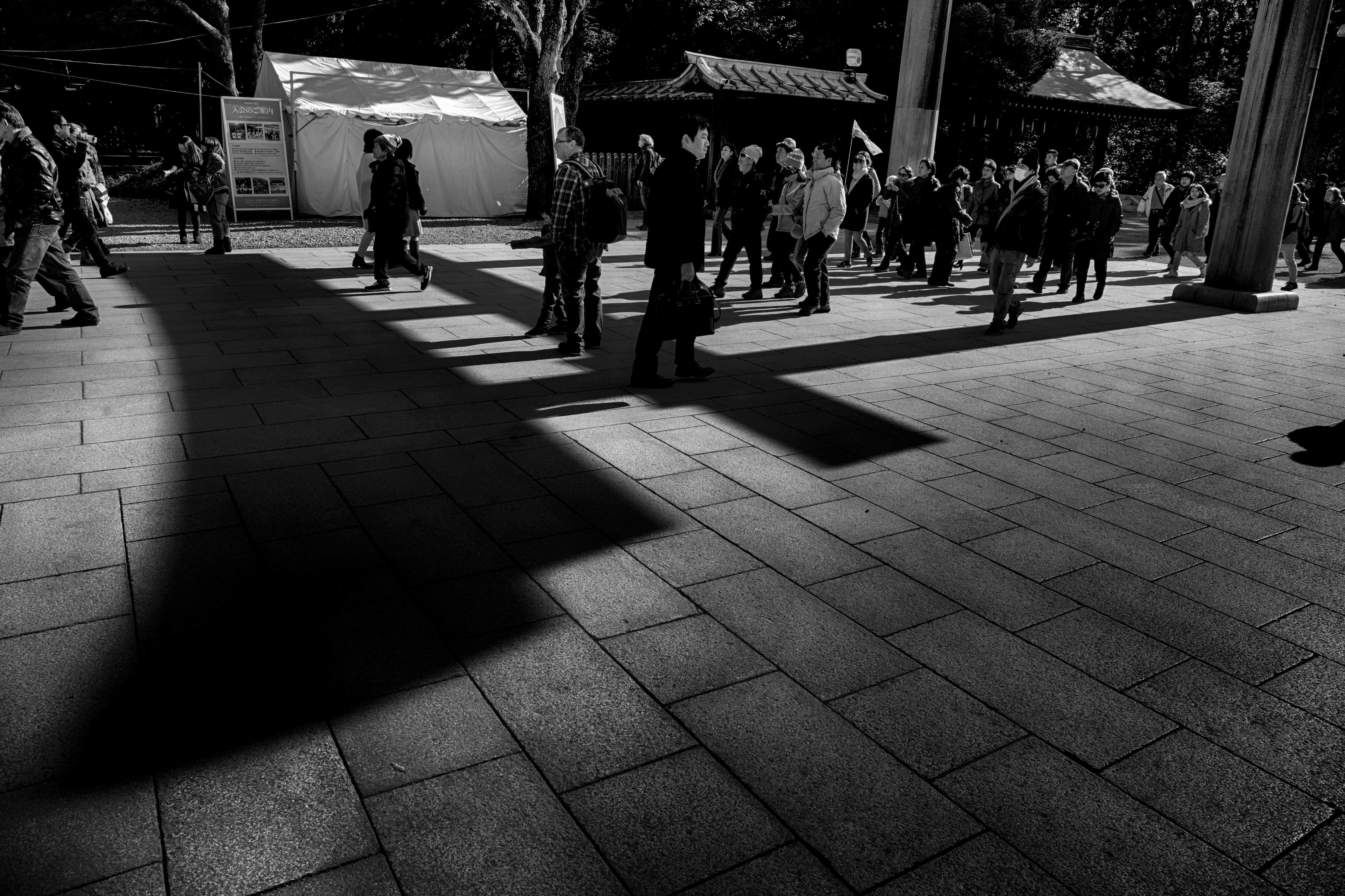 Free Unsplash photo from Marc Steenbeke