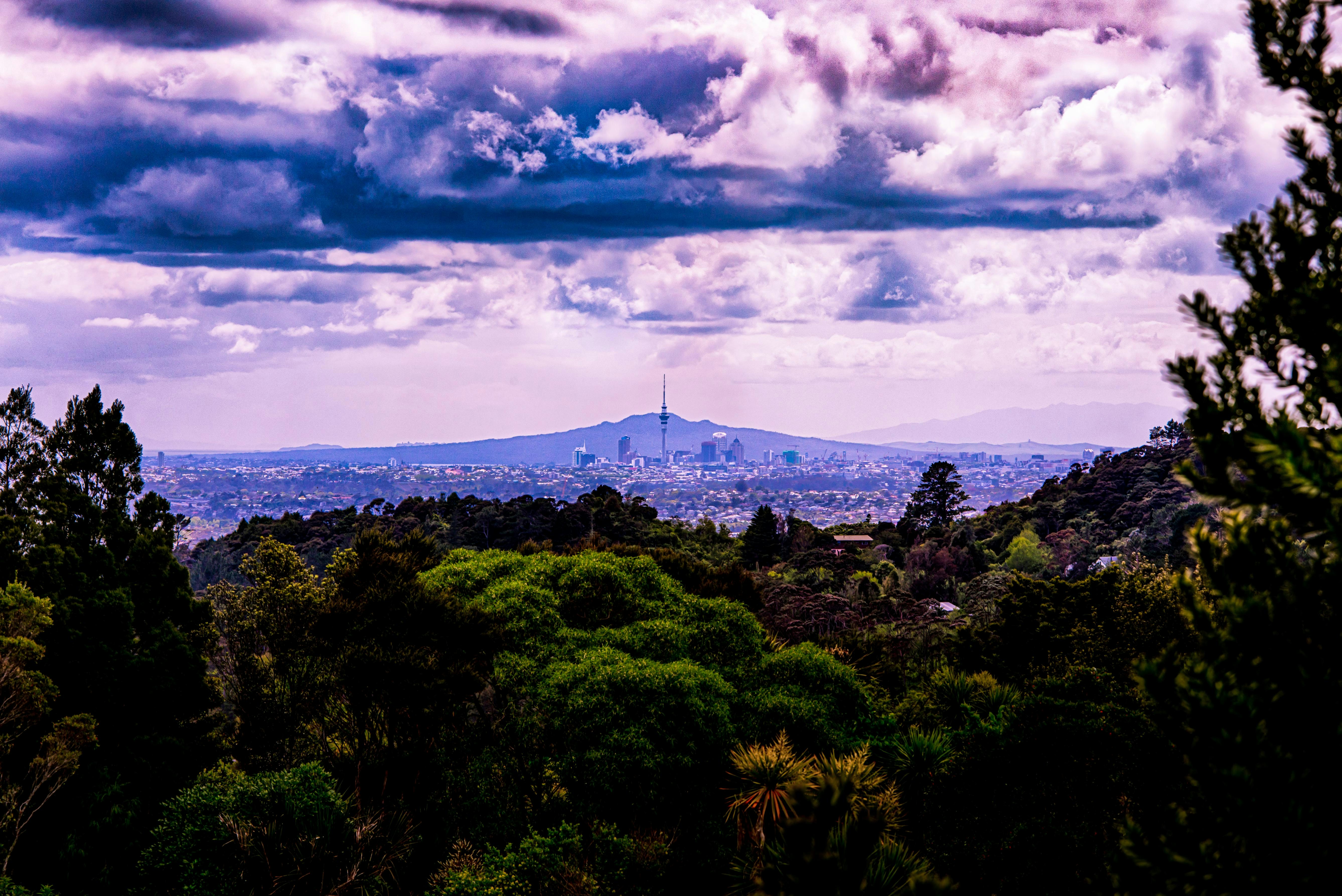 Free Unsplash photo from Marc Steenbeke