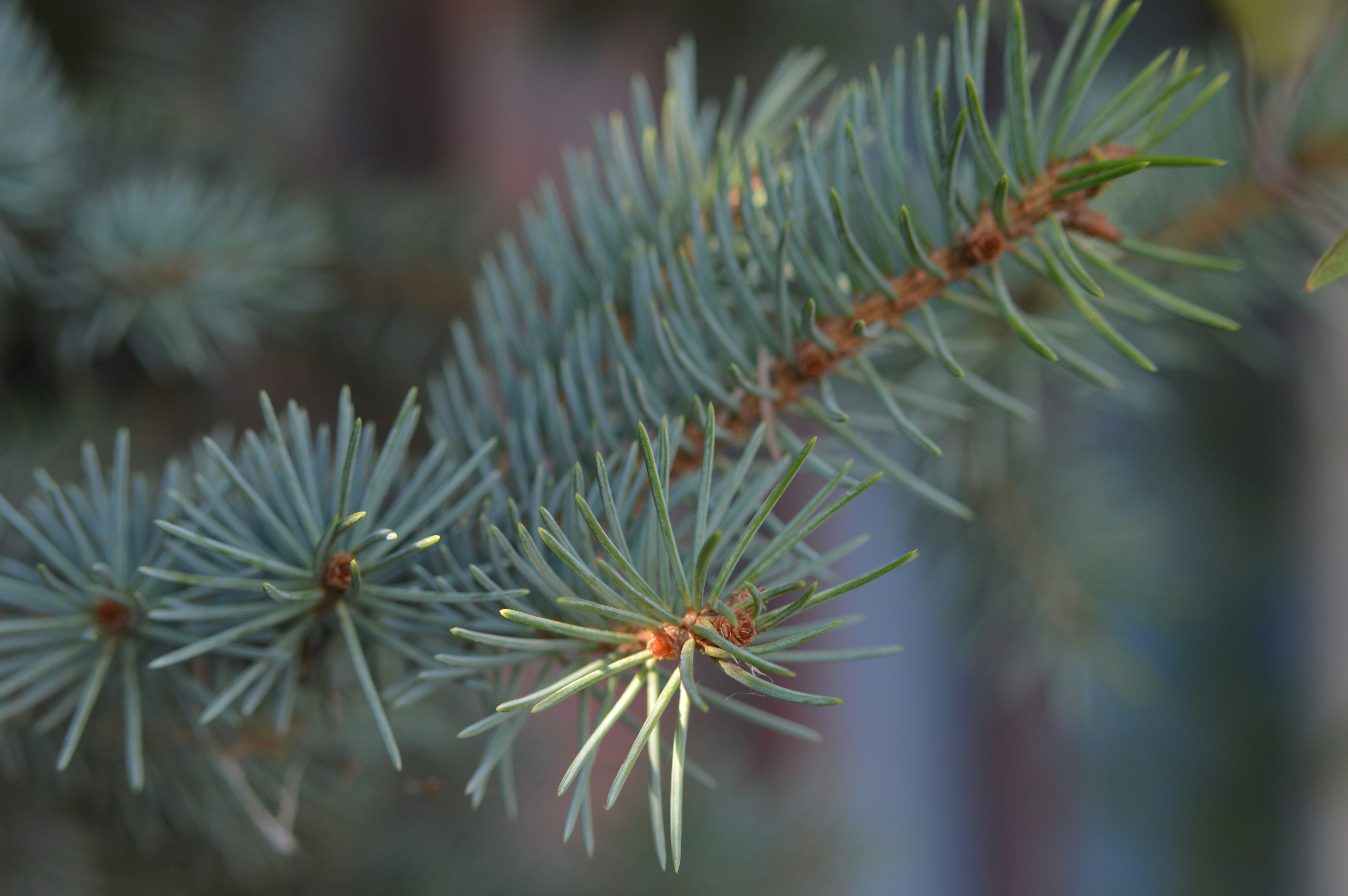 Free Unsplash photo from Alex Nguyen