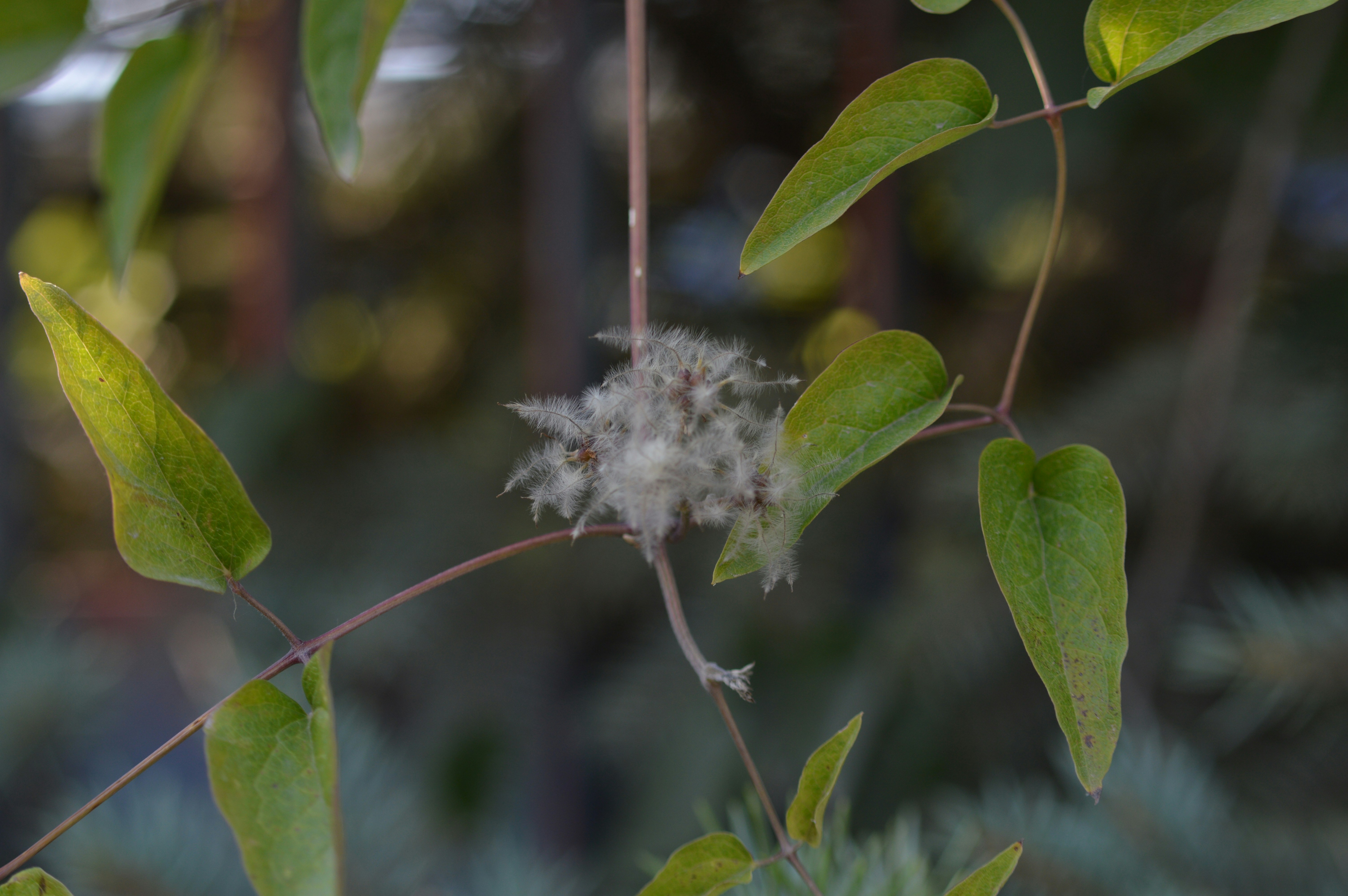 Free Unsplash photo from Alex Nguyen