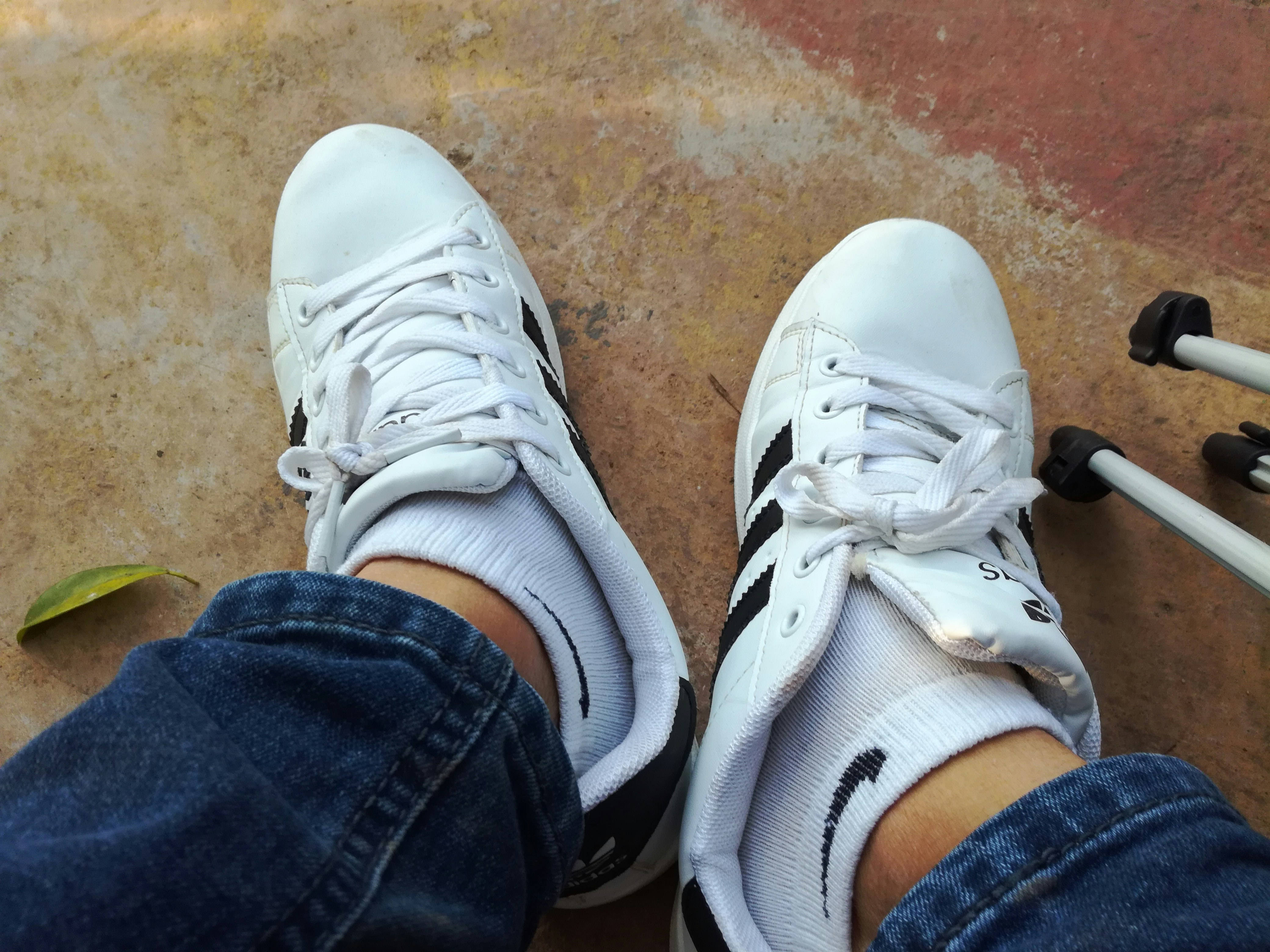 Free Unsplash photo from Kiên Nguyễn Trọng